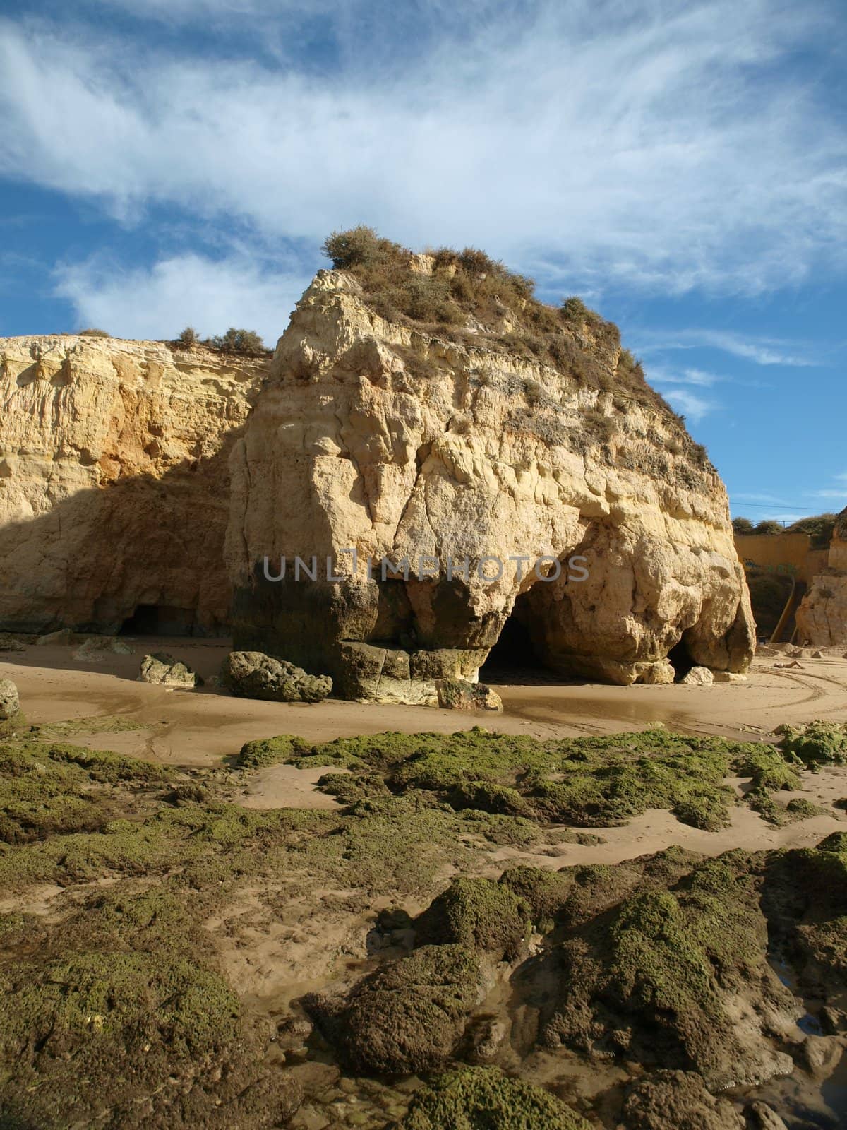 Algarve coast at low tide the ocean 
