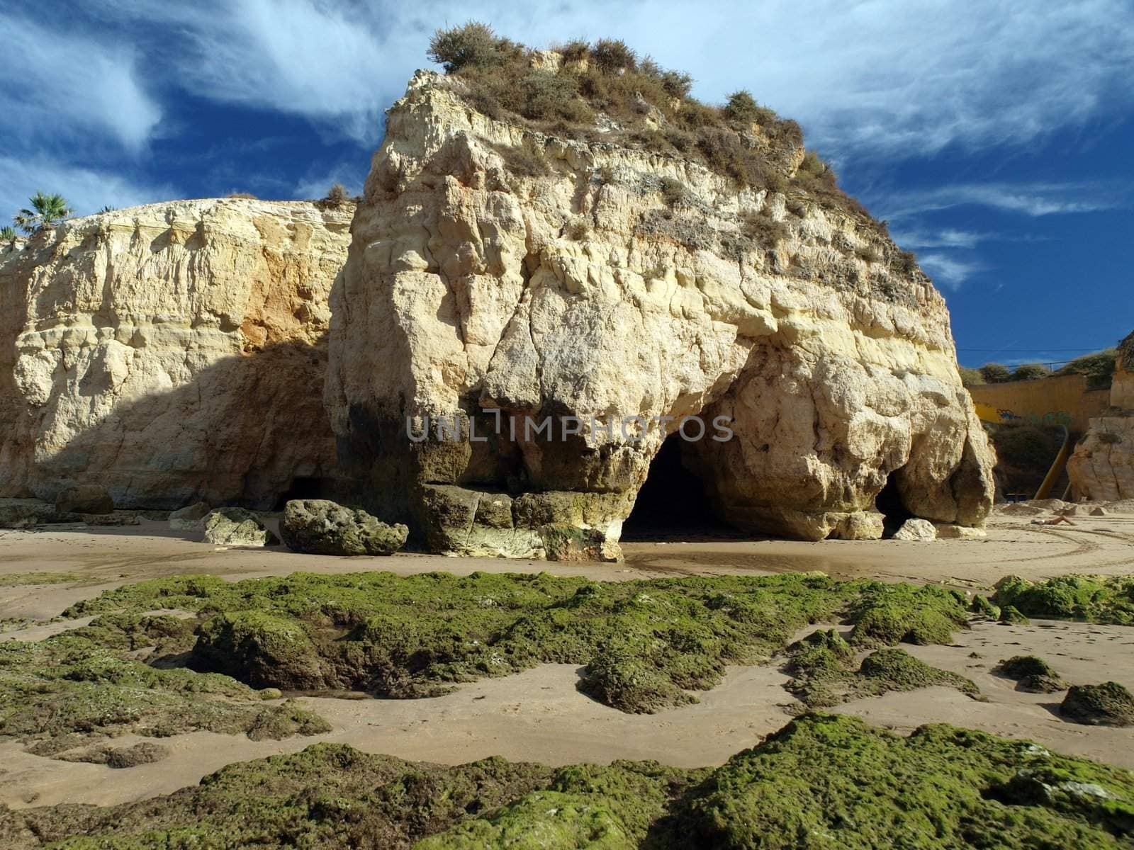 Algarve coast at low tide the ocean 
