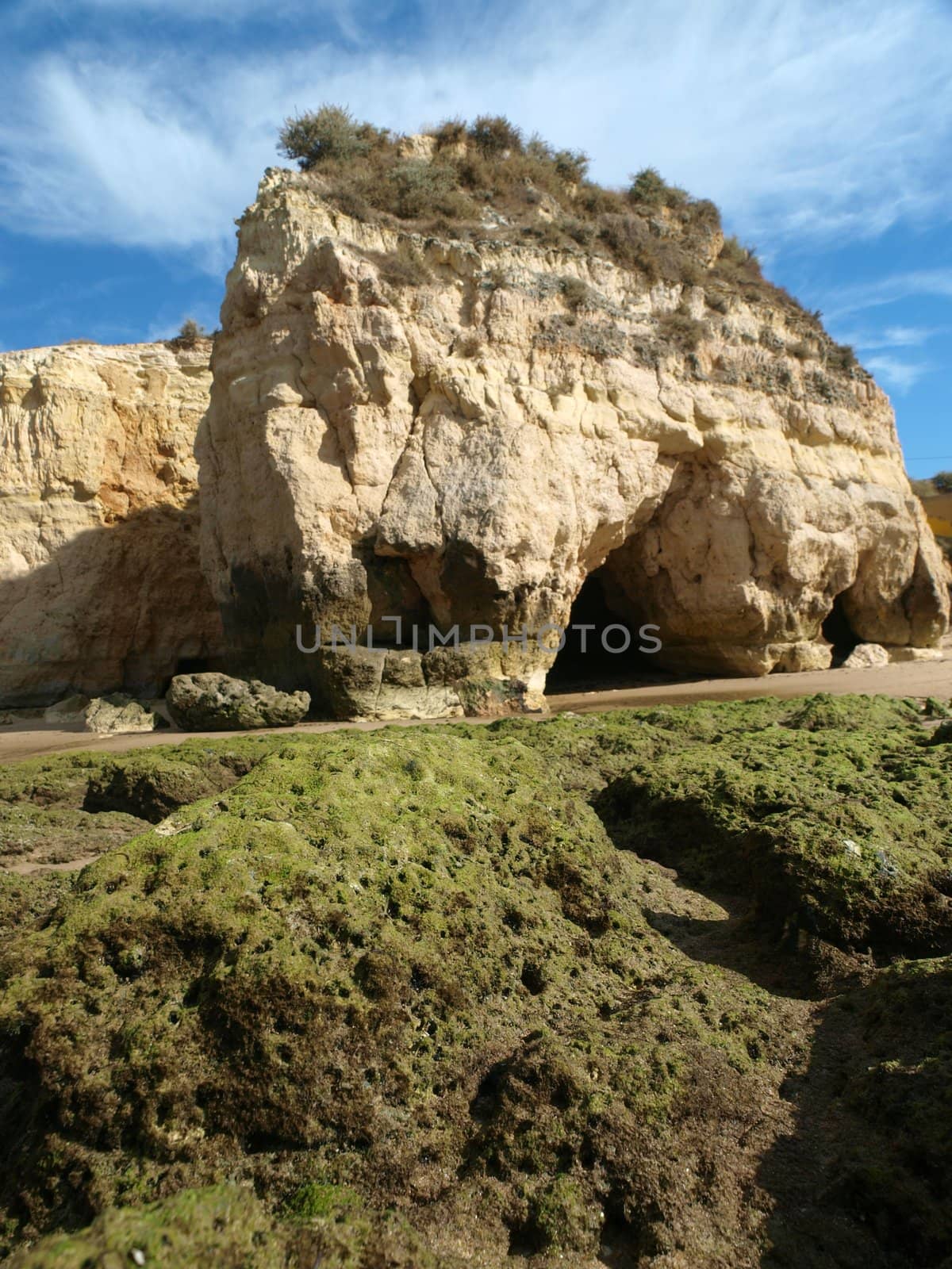 Algarve coast at low tide the ocean 
