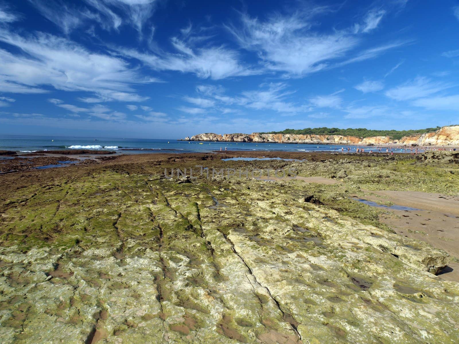 Algarve coast at low tide the ocean