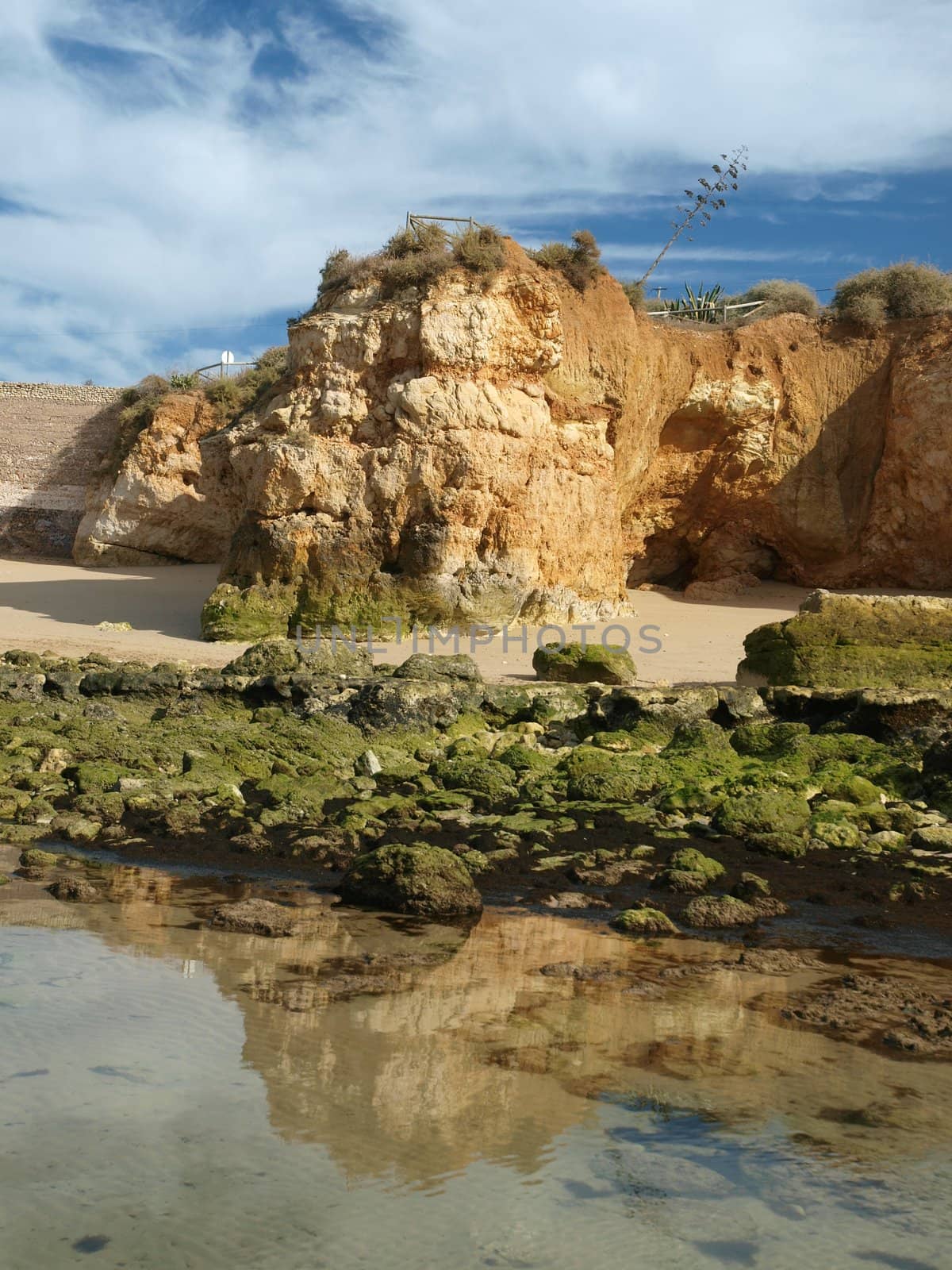 Algarve coast at low tide the ocean