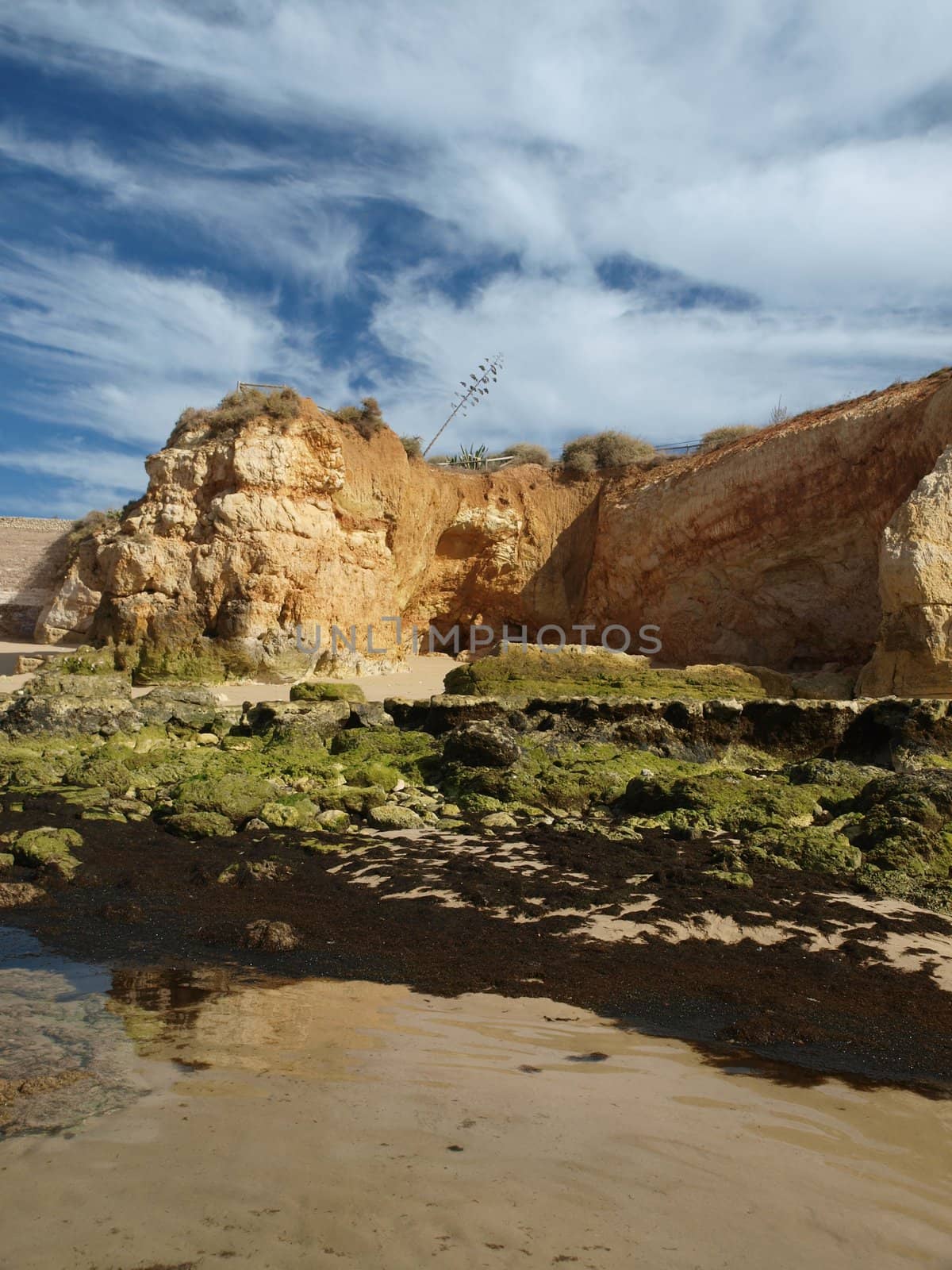 Algarve coast at low tide the ocean 
