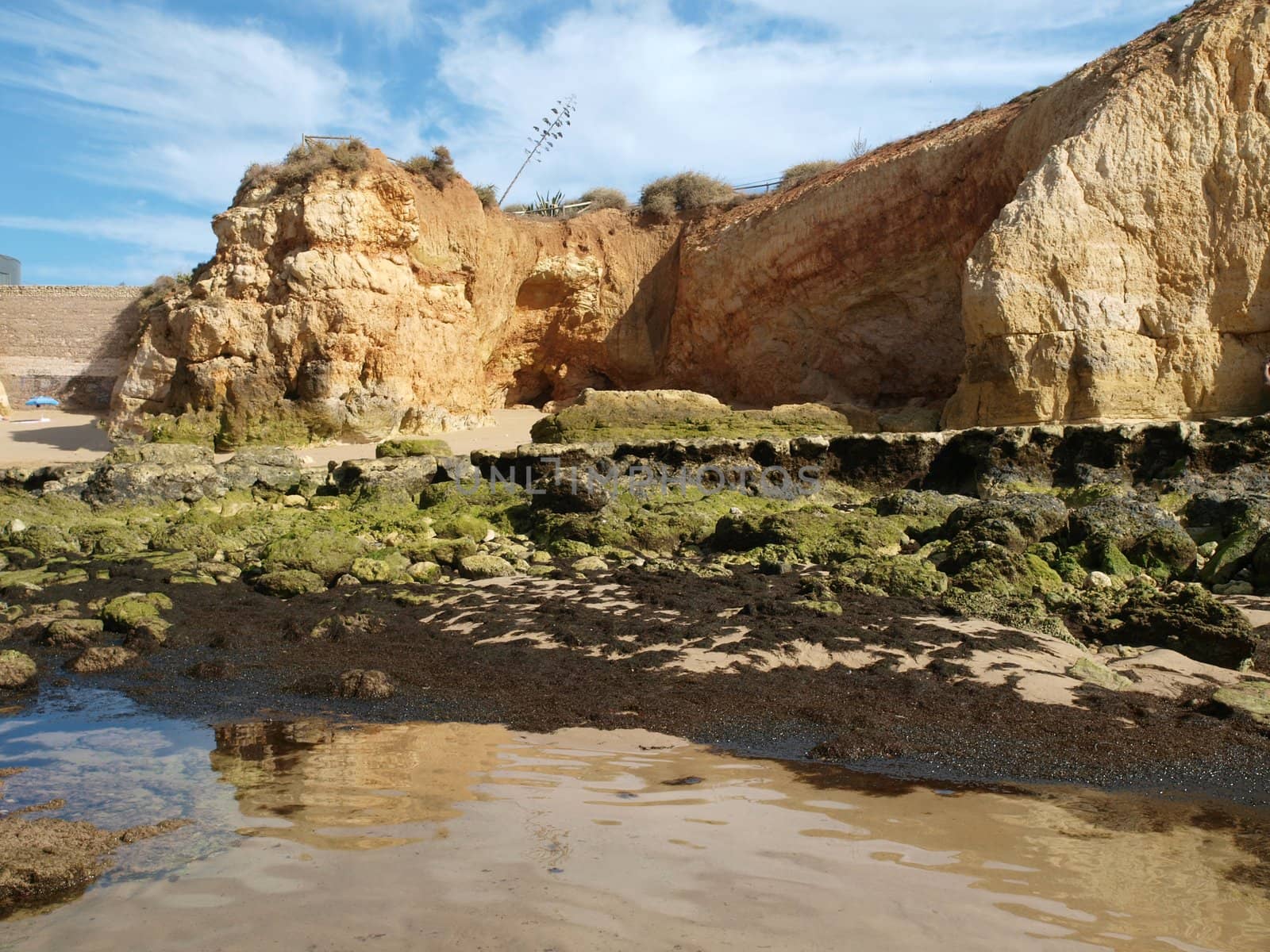 Algarve coast at low tide the ocean 
