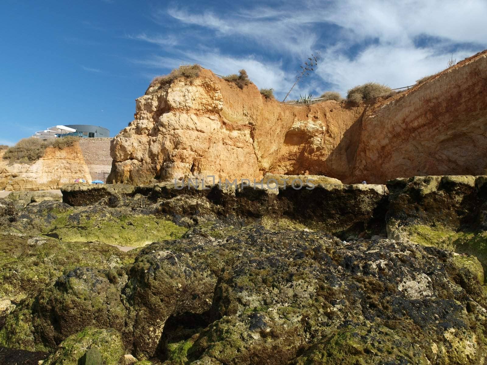 Algarve coast at low tide the ocean 
