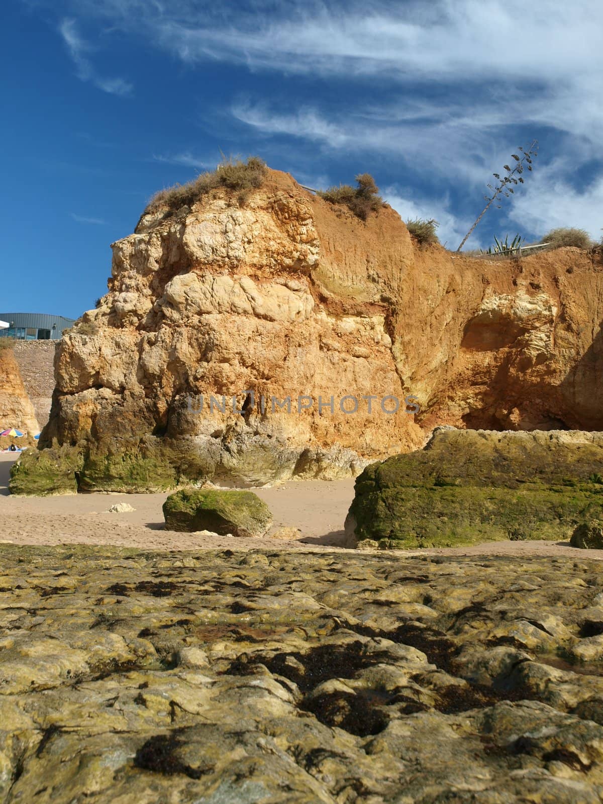 Algarve coast at low tide the ocean 
