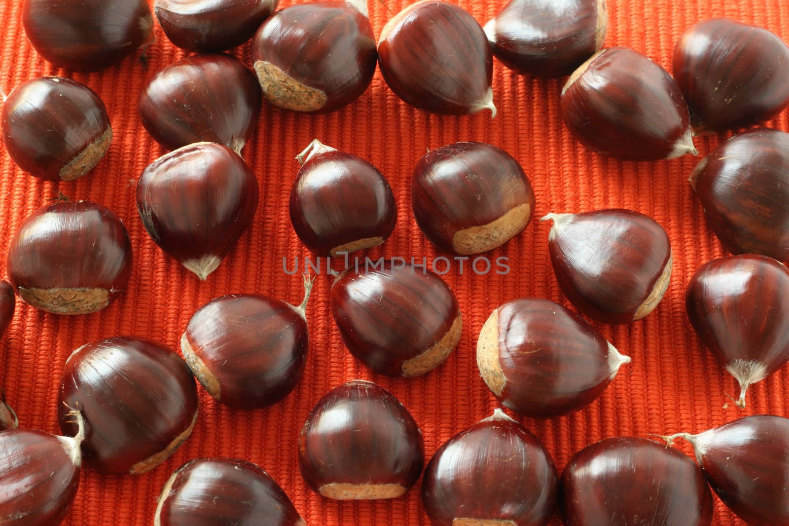 chestnuts by nataliamylova