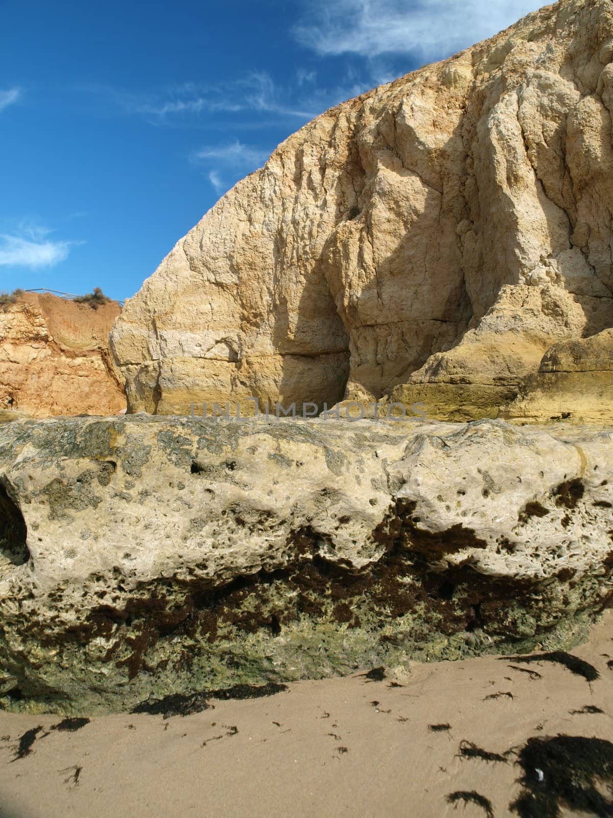 Algarve coast at low tide the ocean 
