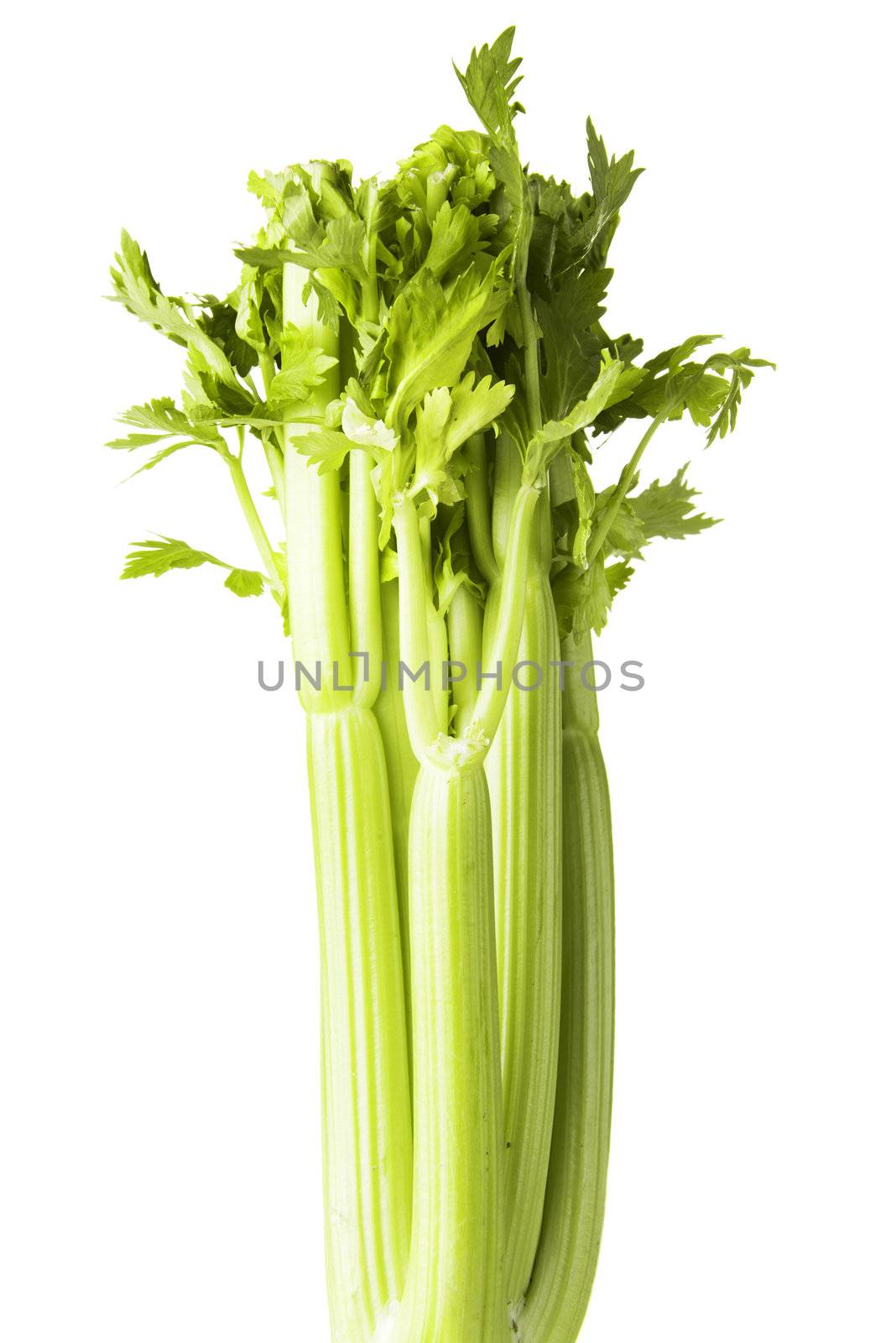 Celery by BDS
