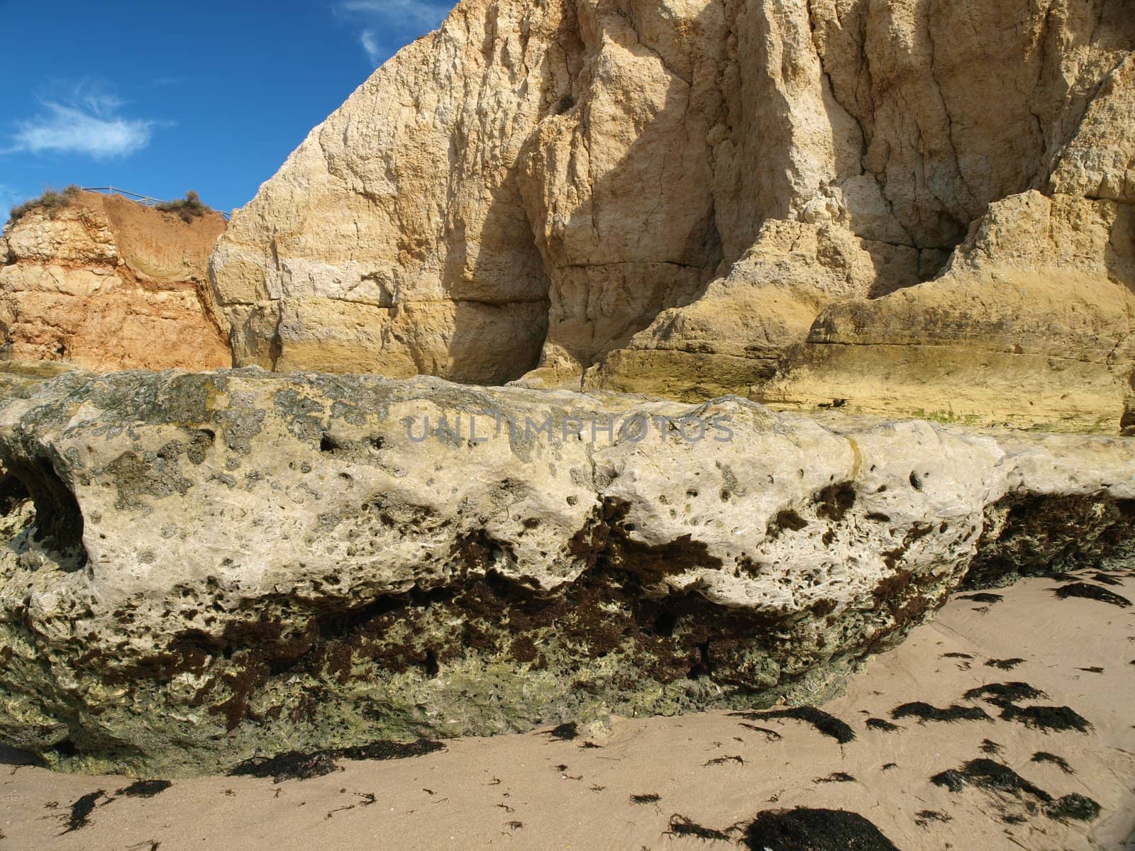 Algarve coast at low tide the ocean 
