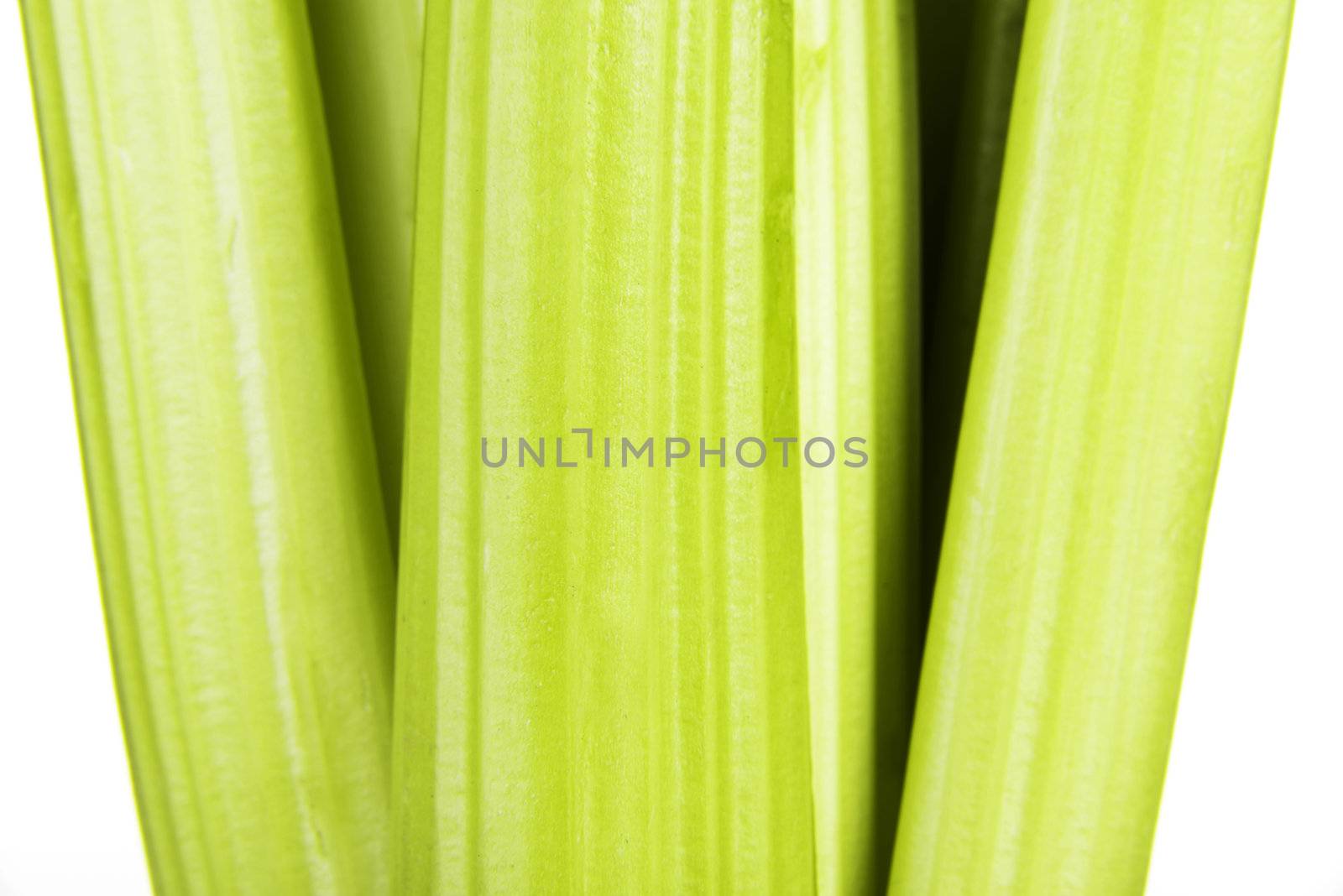 Fresh celery close up