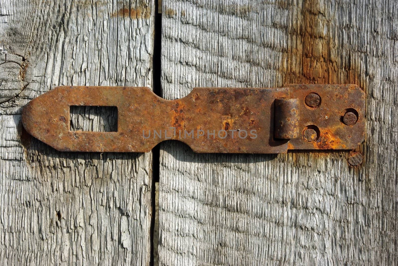 Closeup of an old padlock on a wooden door