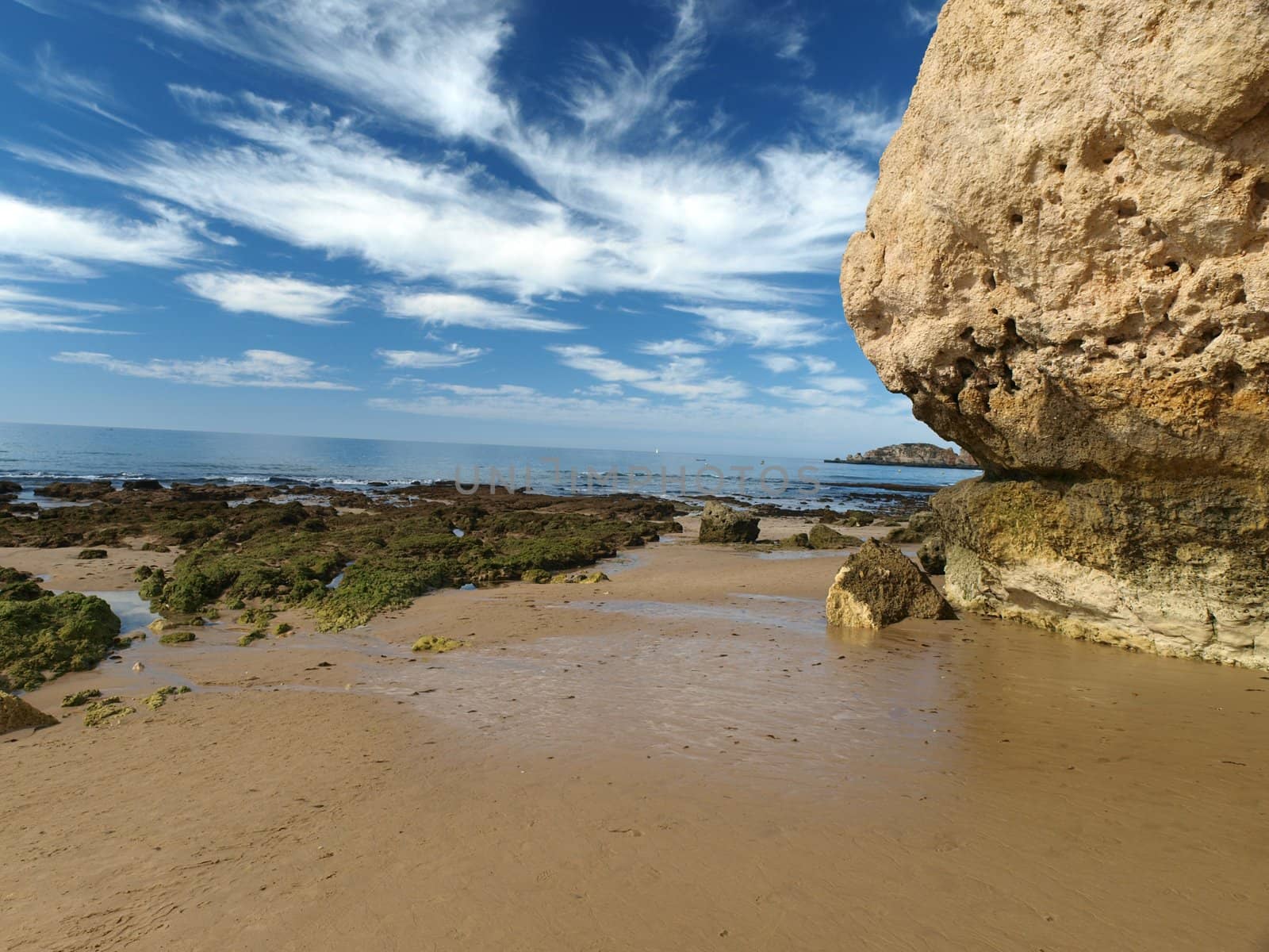 Algarve coast at low tide the ocean 
