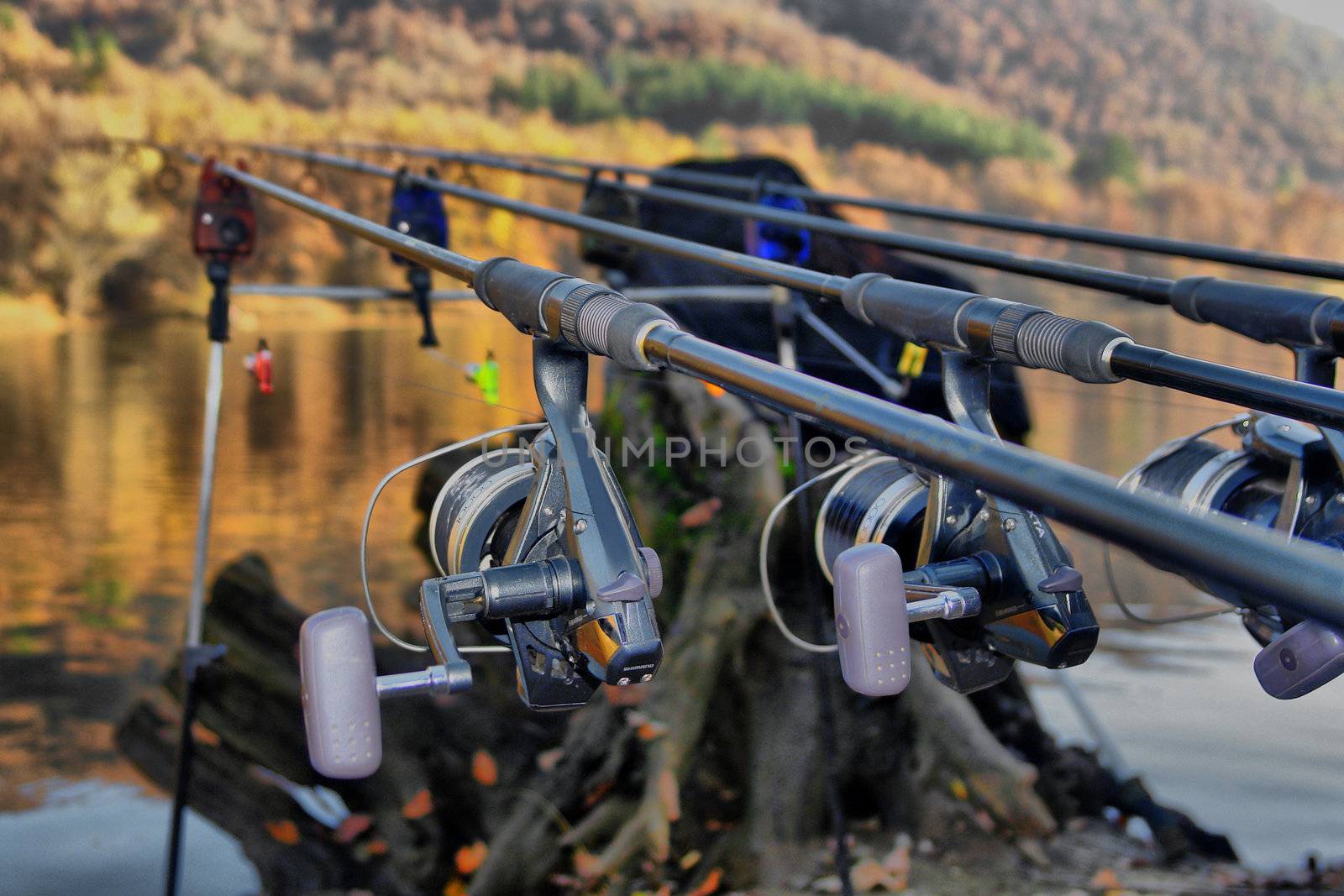 fishing rods close up on calm lake water surface