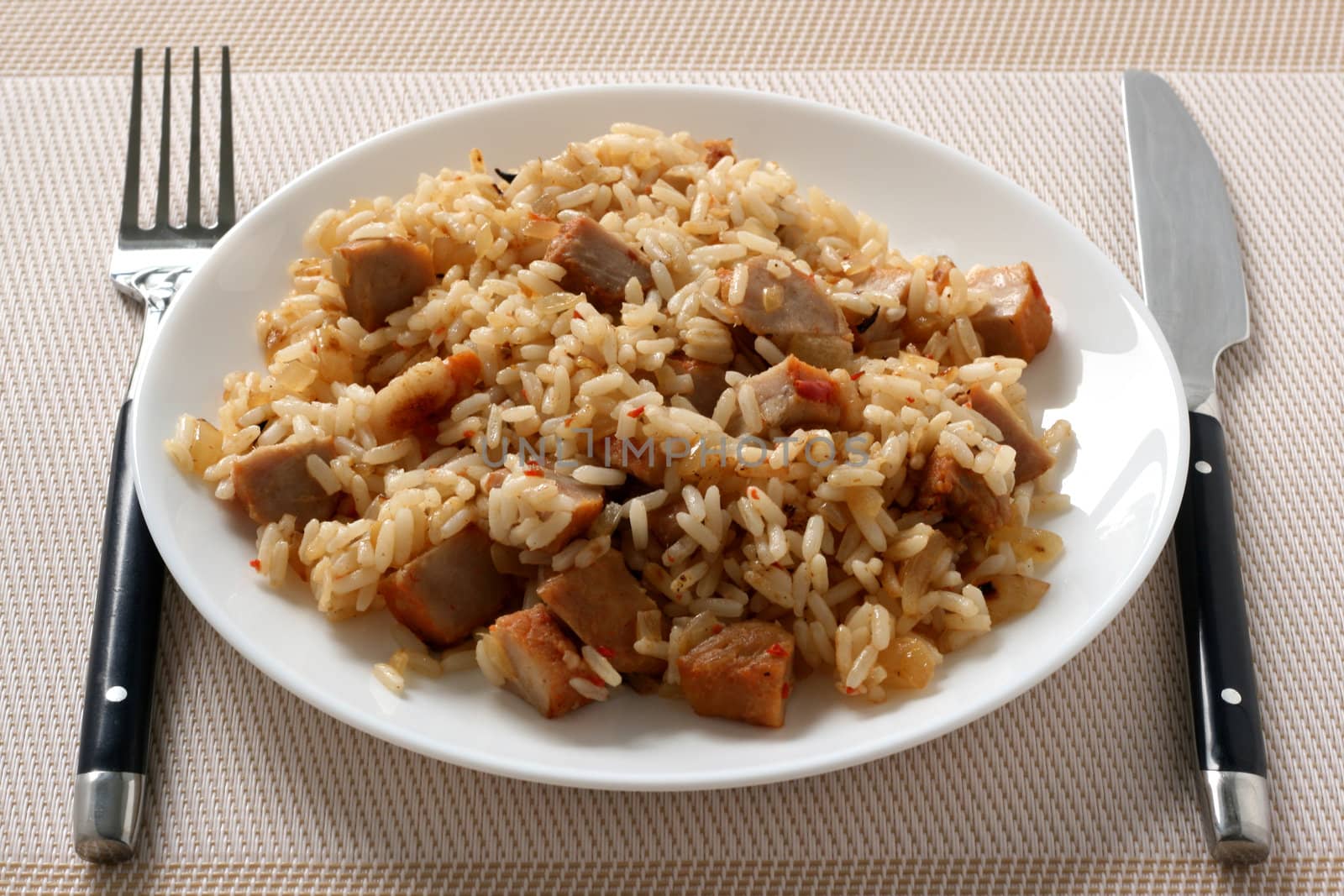 Rice with meat on a plate by nataliamylova