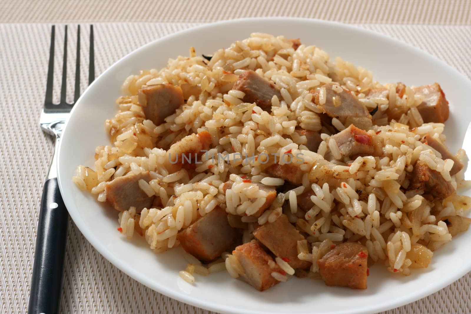 Rice with meat on a plate