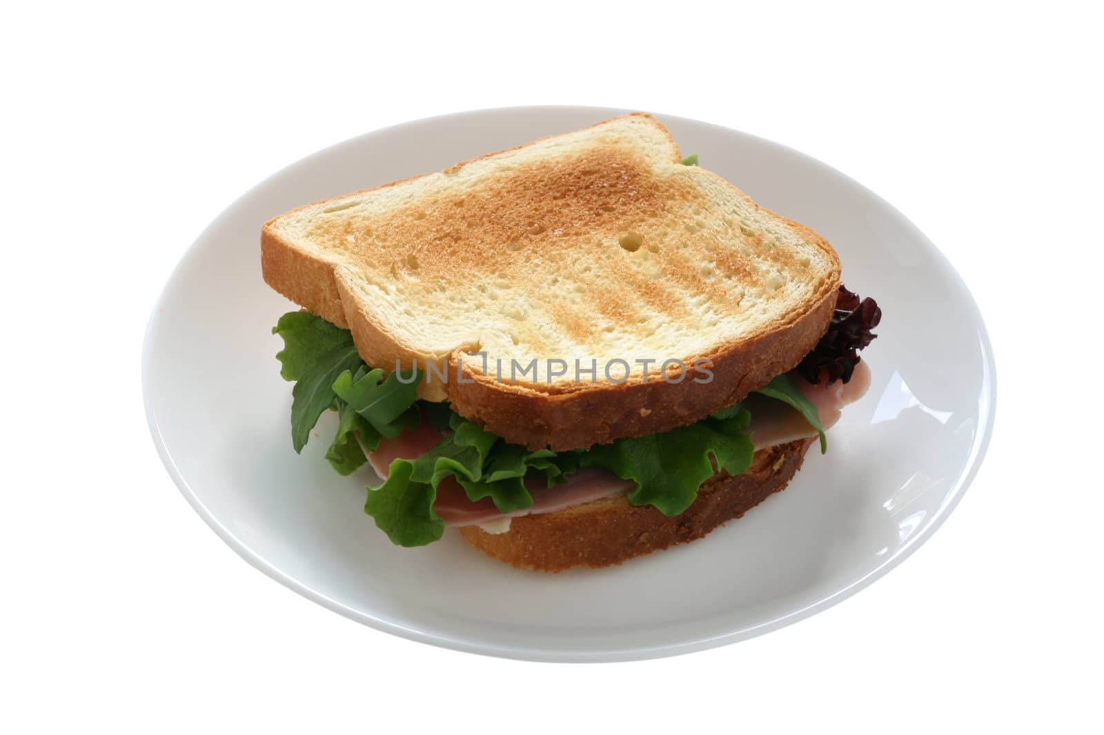 sandwich on the plate