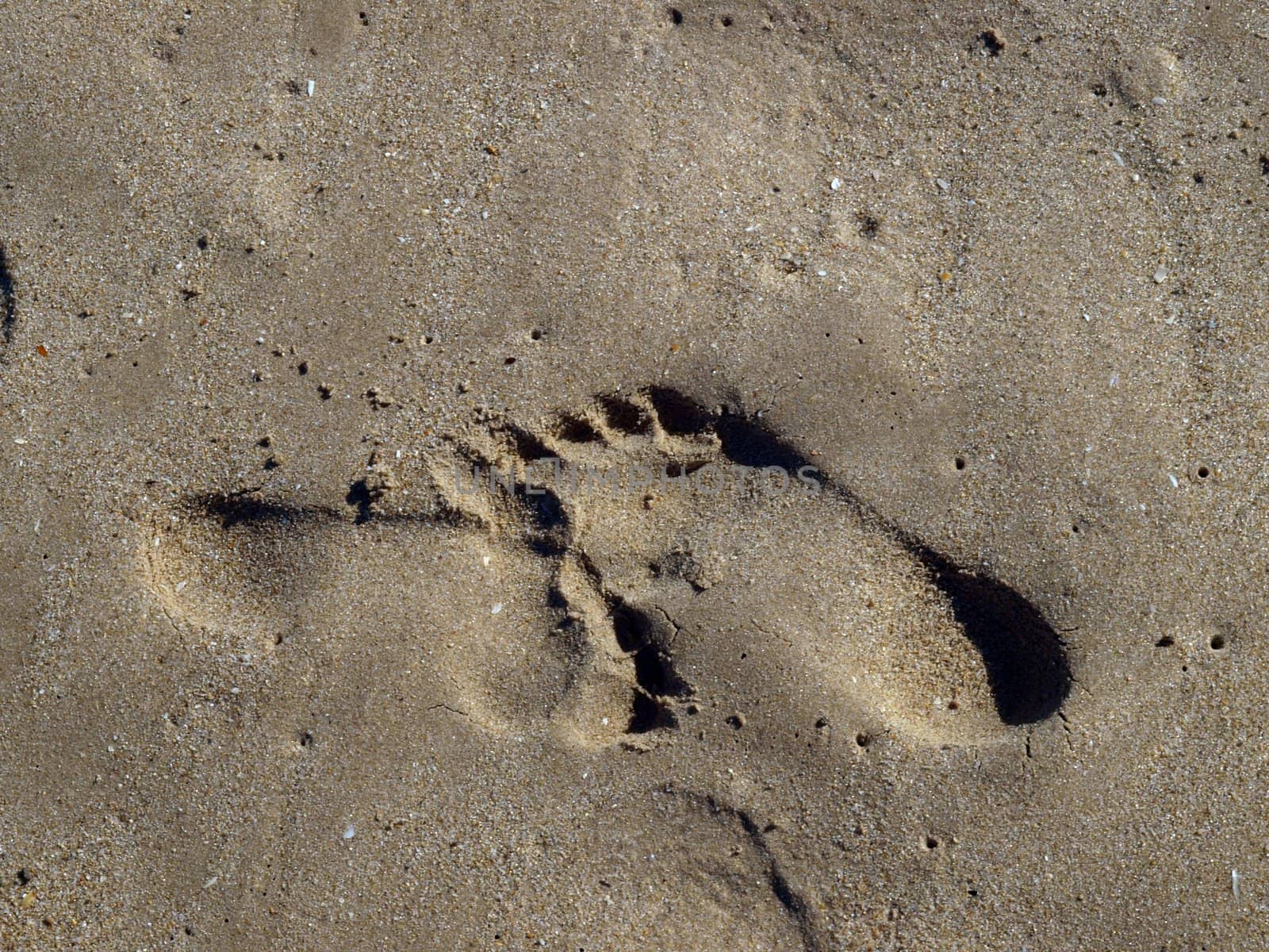 footprints in the wet sand