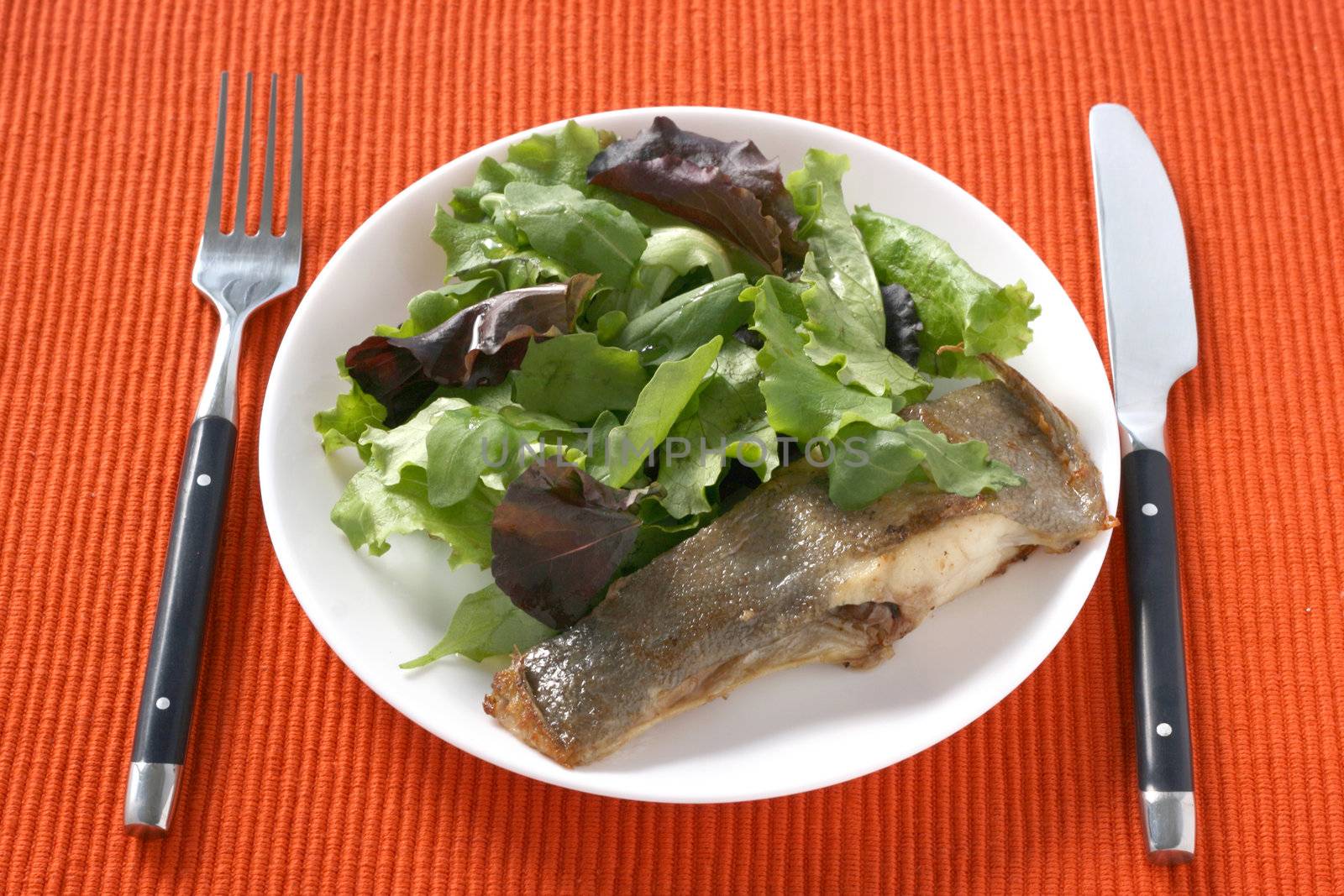 fried flounder with salad on white plate by nataliamylova