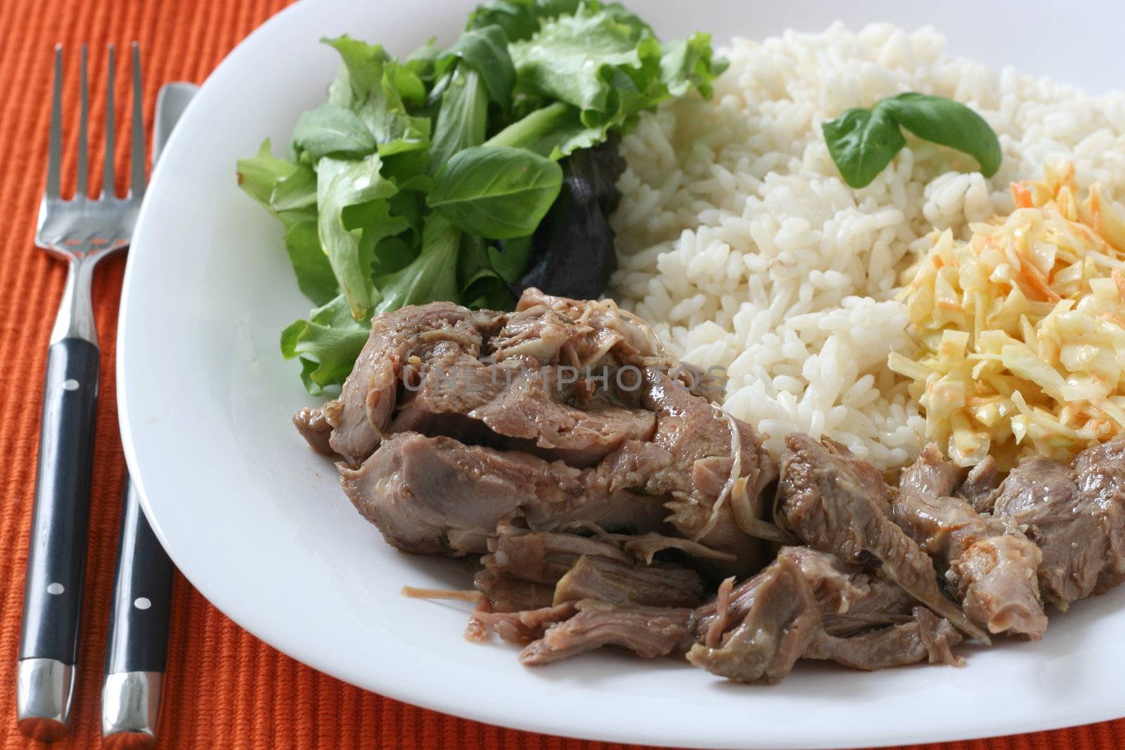 fried turkey with boiled rice