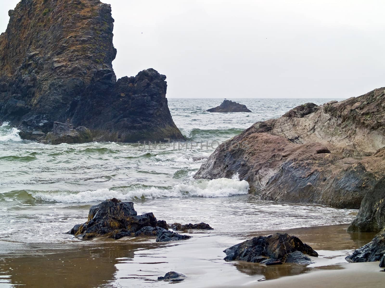 Rugged Pacific Ocean Beach at Ecola State Park in Oregon by Frankljunior