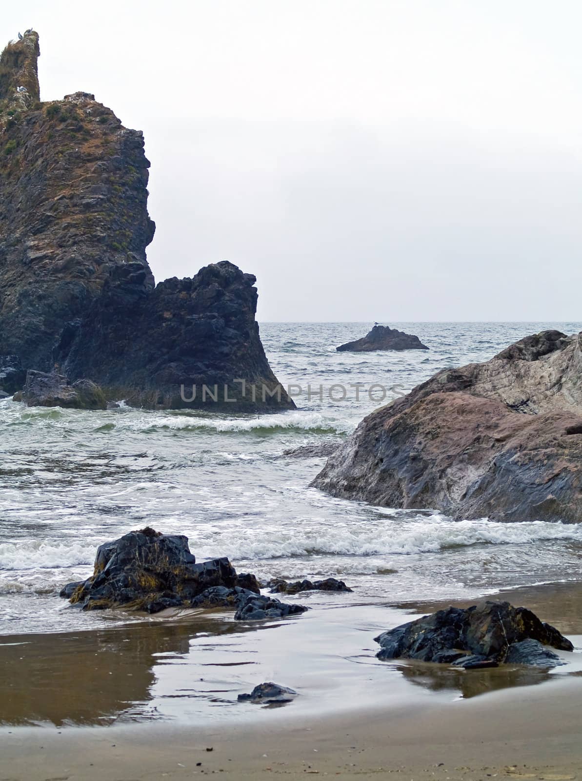 Rugged Pacific Ocean Beach at Ecola State Park in Oregon by Frankljunior