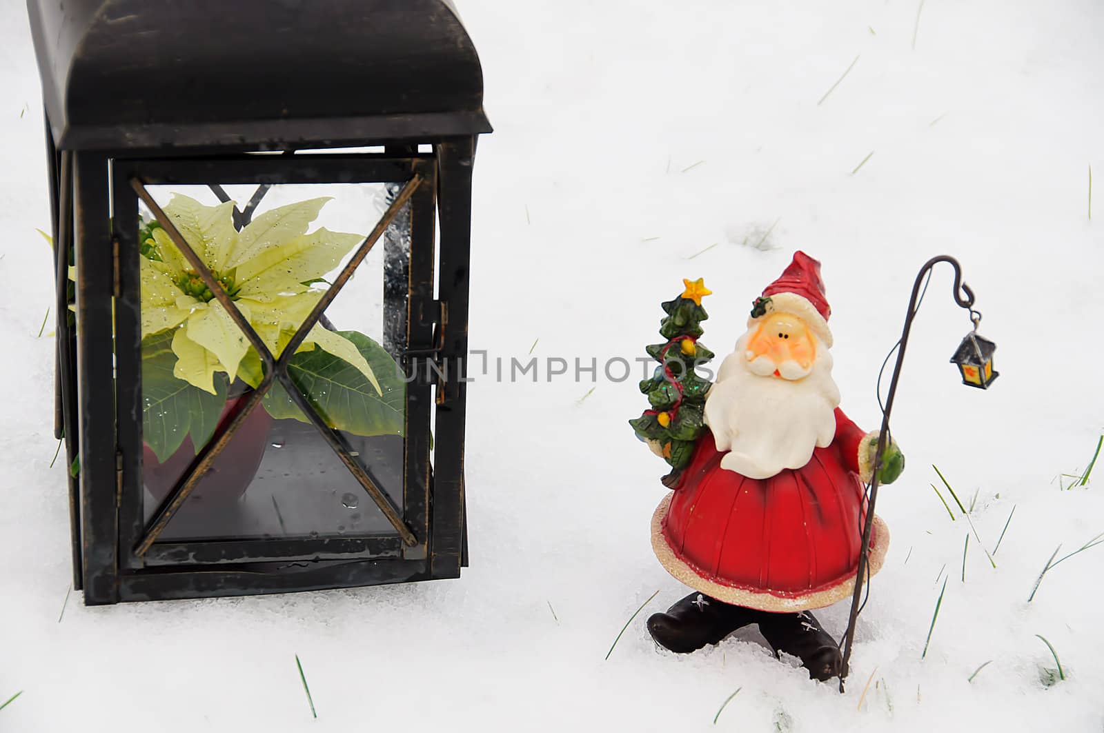Lamp with a poinsettia and Santa Claus in a winter garden