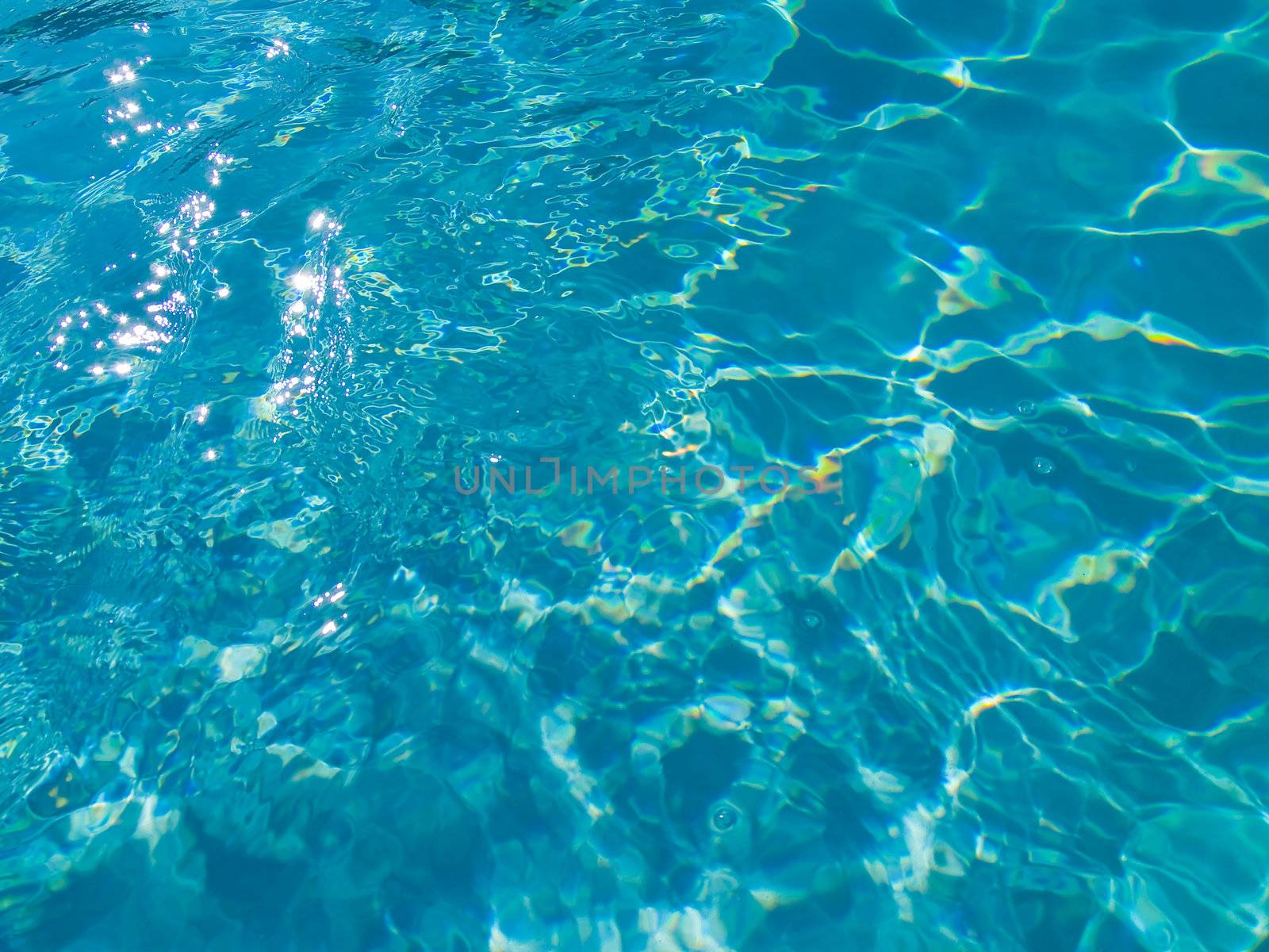 Blue Swimming Pool Water in Full Sunlight