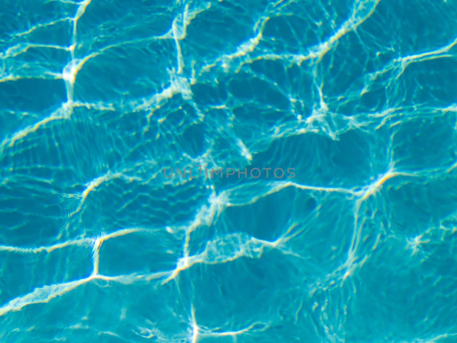 Blue Swimming Pool Water in Full Sunlight