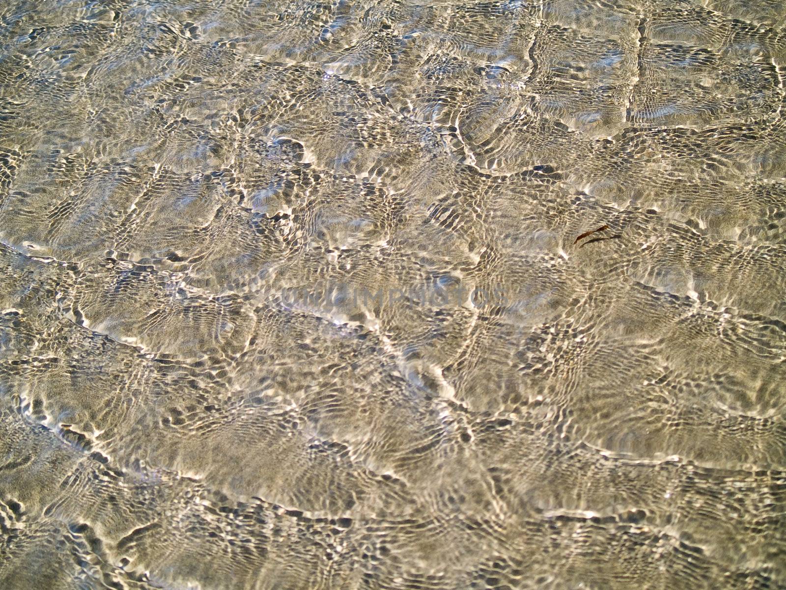 Ocean Ripples in Shallow Water on a Beach