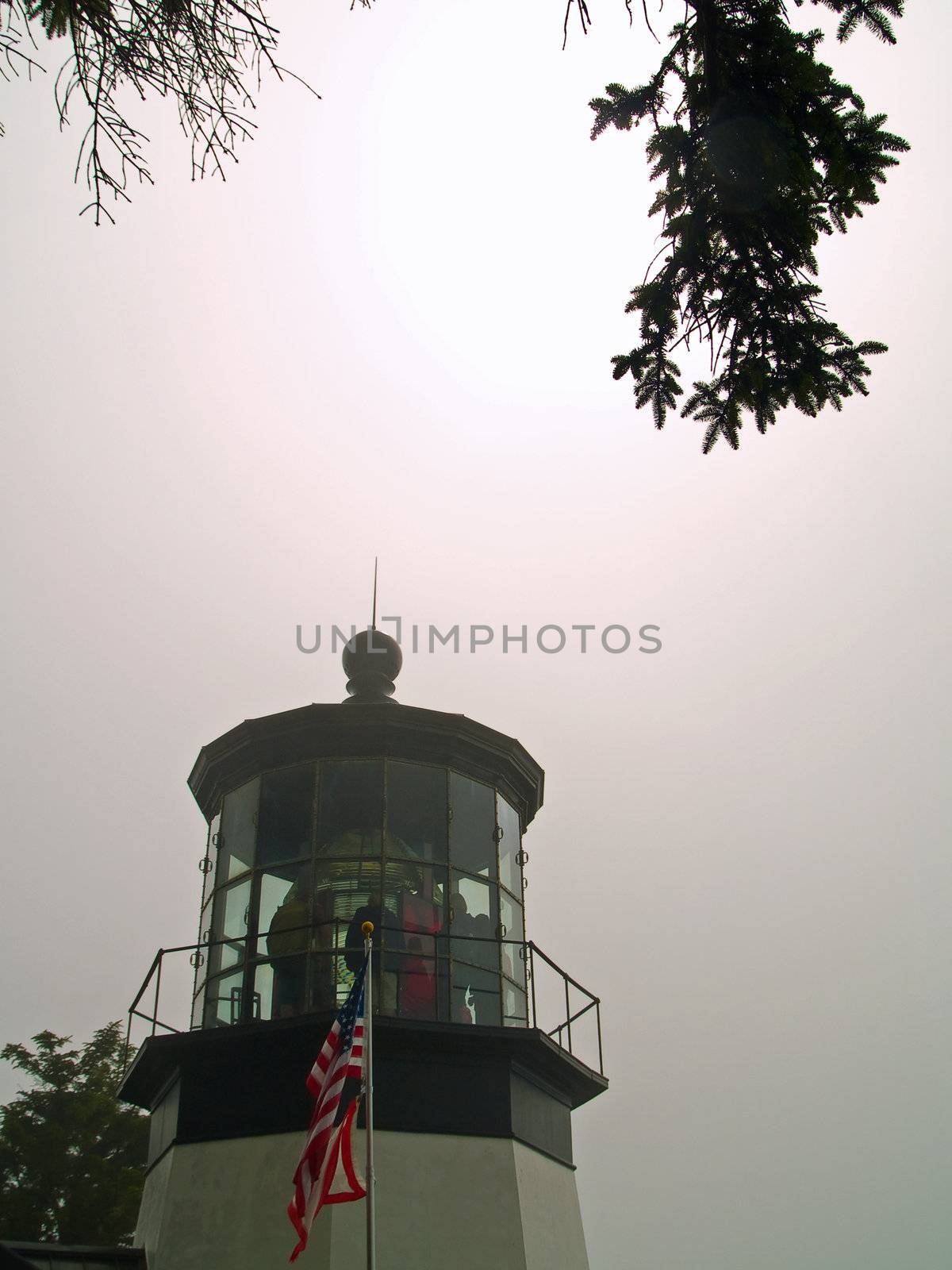 Cape Meares Lighthouse on the Oregon Coast by Frankljunior