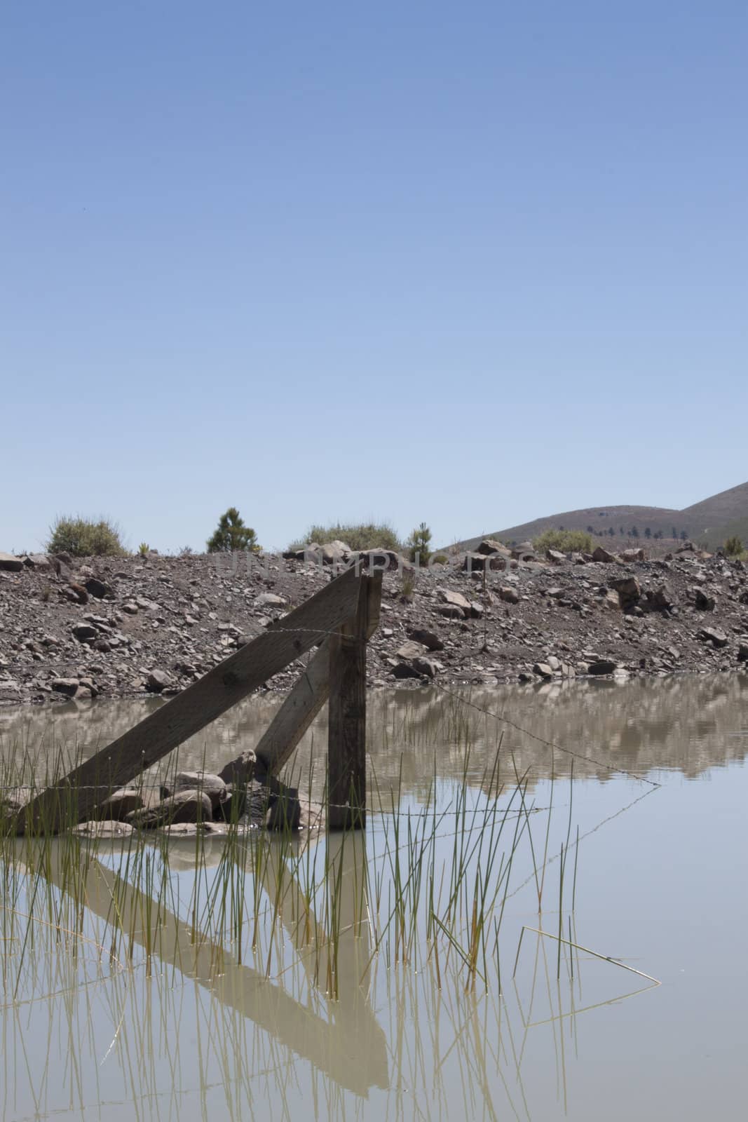 a muddy watering hole with a fence post in the middle