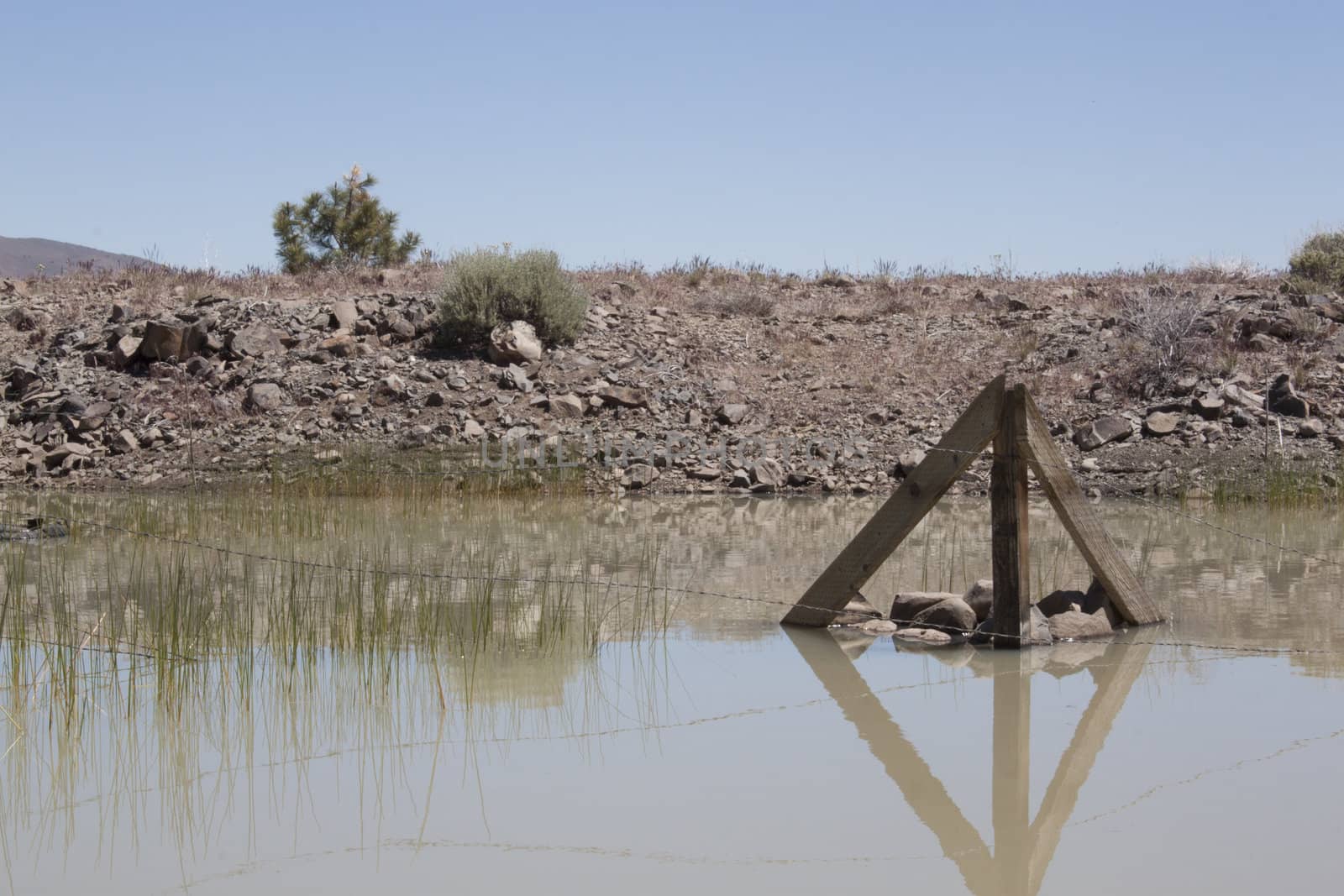 a muddy watering hole with a fence post in the middle