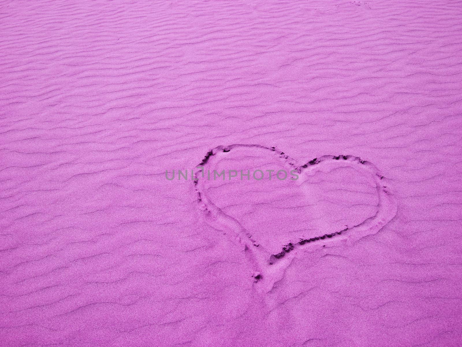 Purple Heart in the Sand on a Sunny Day