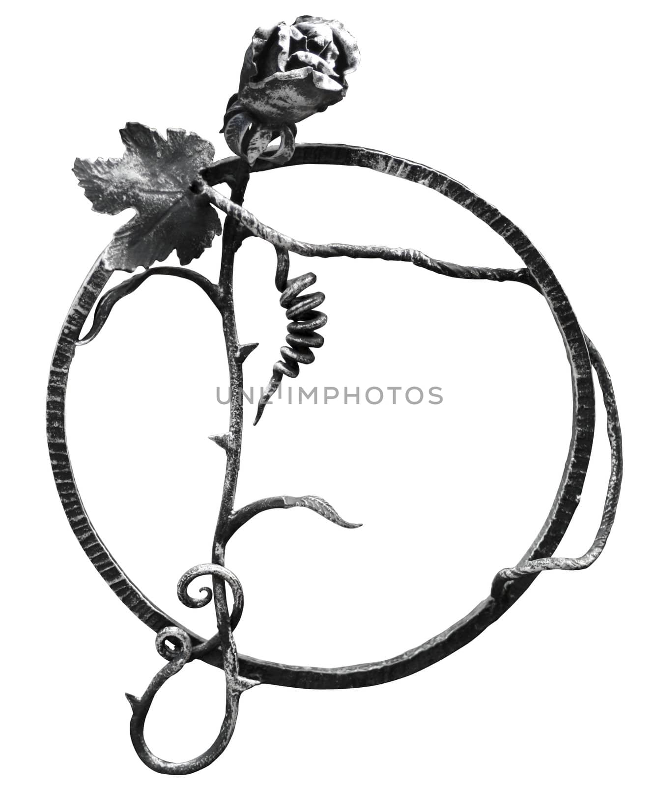 Forged ring with rose, vine and spiral