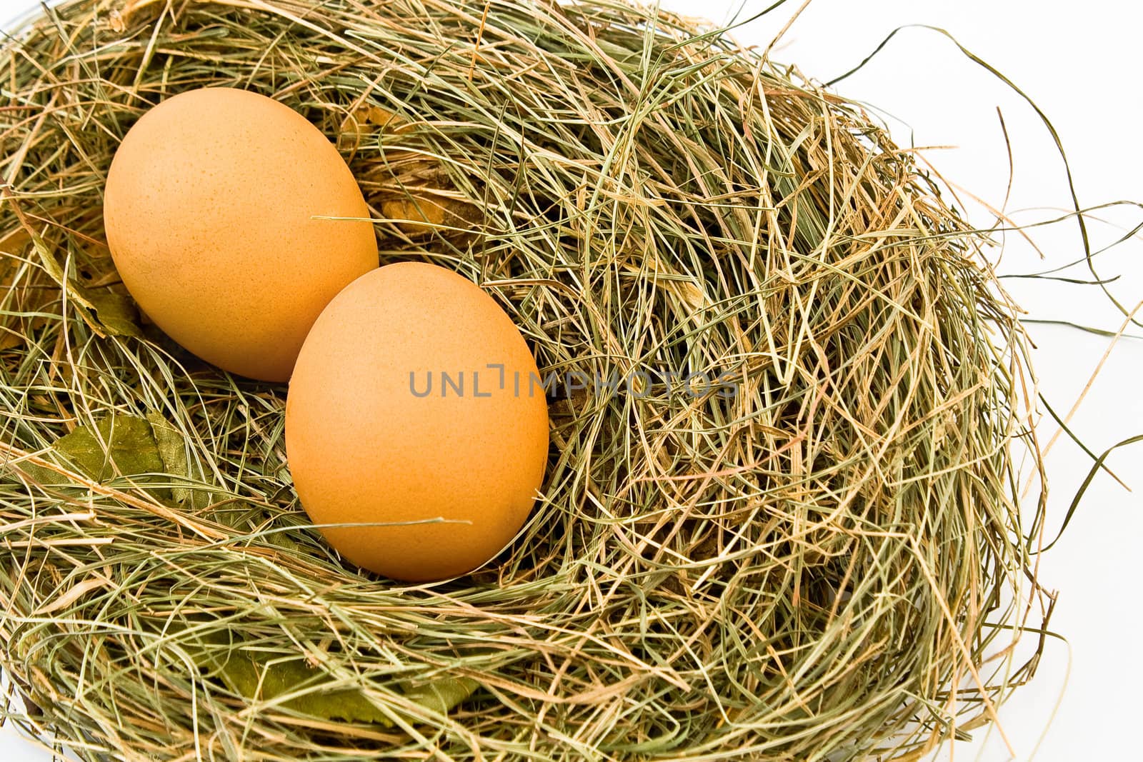 Eggs in nest isolated on white