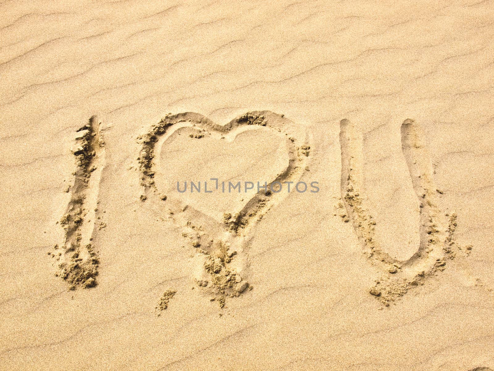 I Love You Written in the Sand