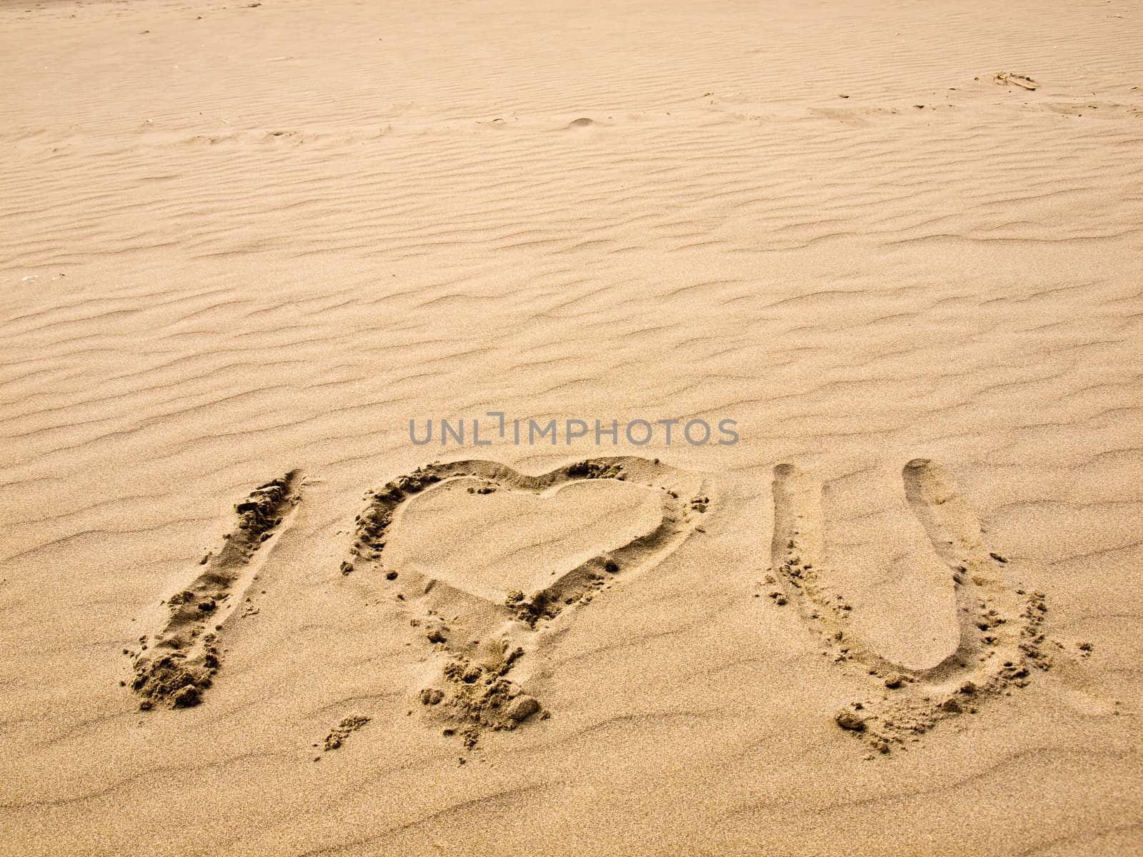 I Love You Written in the Sand