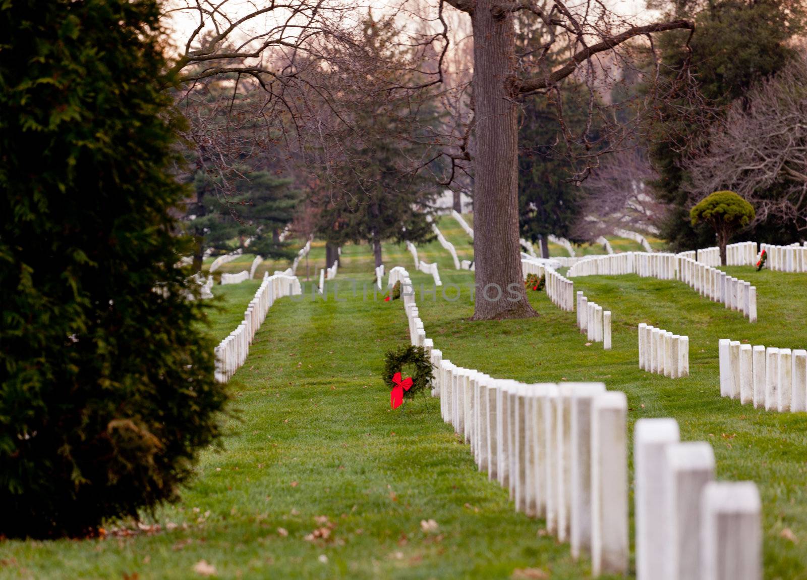Christmas wreaths on gravestones in Arlington National Cemetery. The wreathes have been donated each year since 1992.