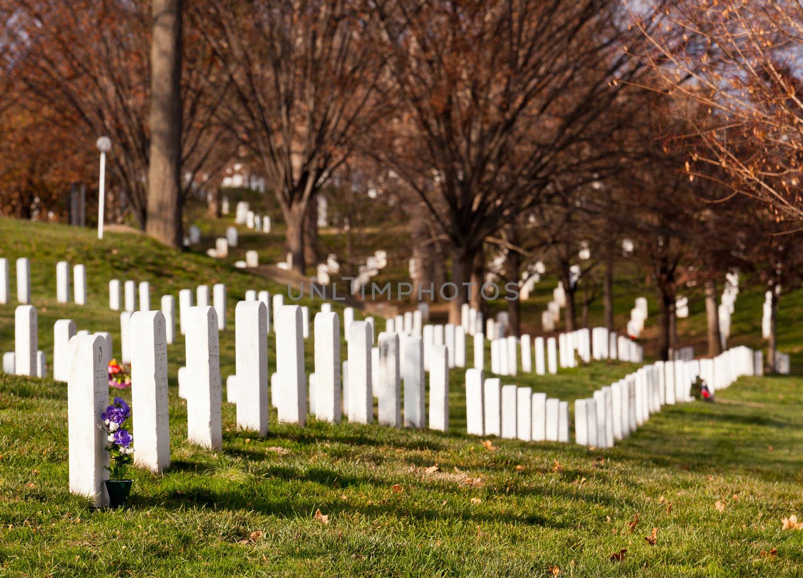Christmas wreaths on gravestones in Arlington National Cemetery. The wreathes have been donated each year since 1992.