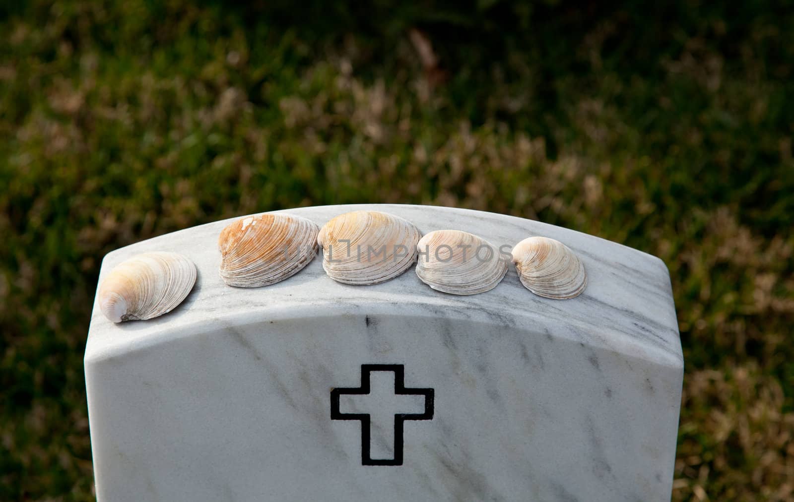 Sea shells on gravestones in Arlington National Cemetery