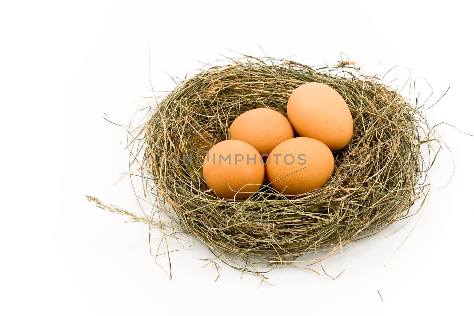Four Eggs in Nest isolated on white
