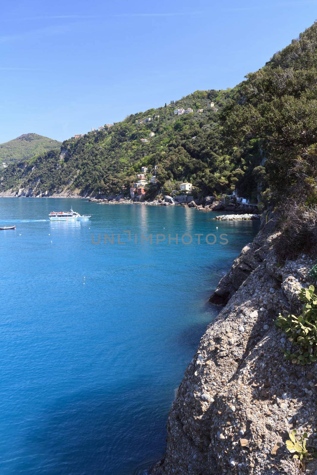 Camogli and Paradiso Gulf frm Punta Chiappa, Liguria, Italy