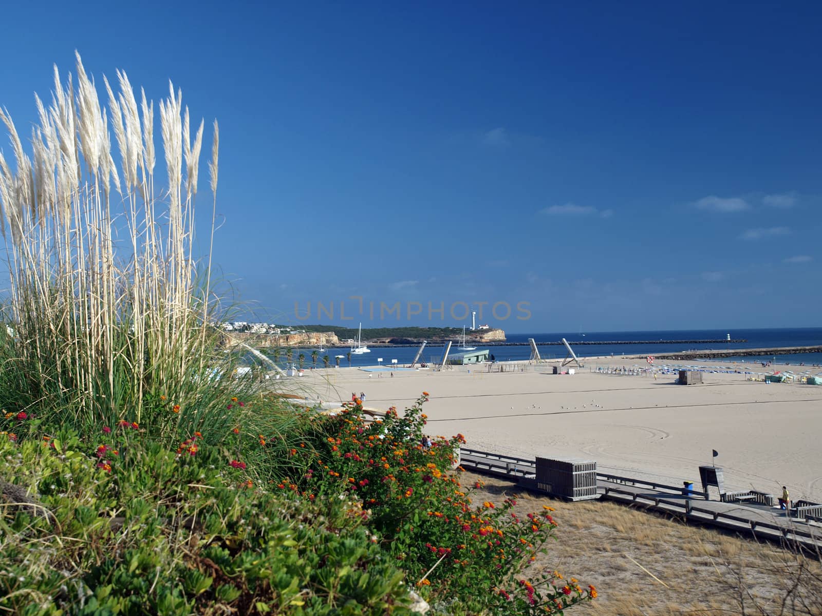 One of the most beautiful beaches in the world - Praia da Rocha in Portimao, Algarve, Portugal