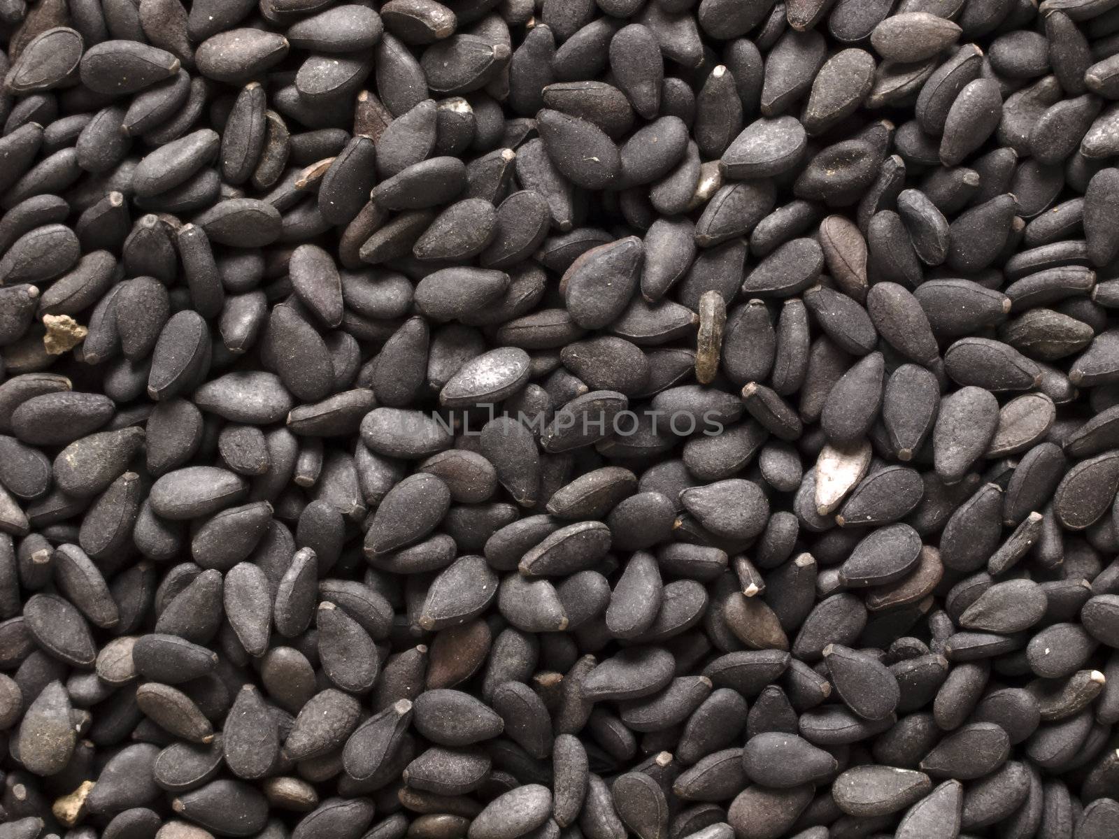 black sesame seeds by zkruger