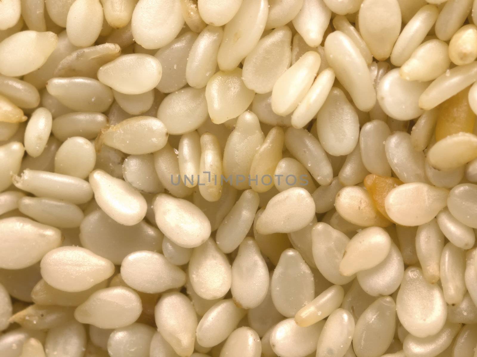 close up of white sesame seeds food background