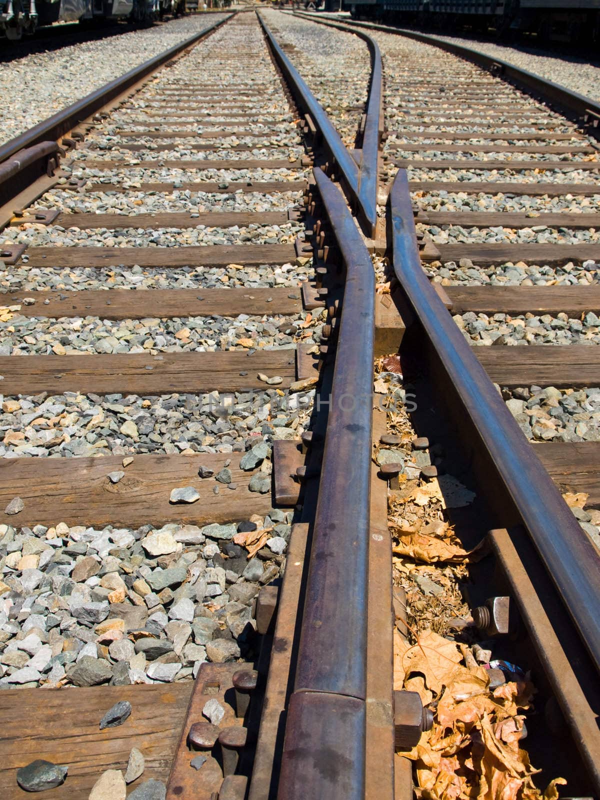 Old Railroad Tracks at a Junction on a Sunny Day