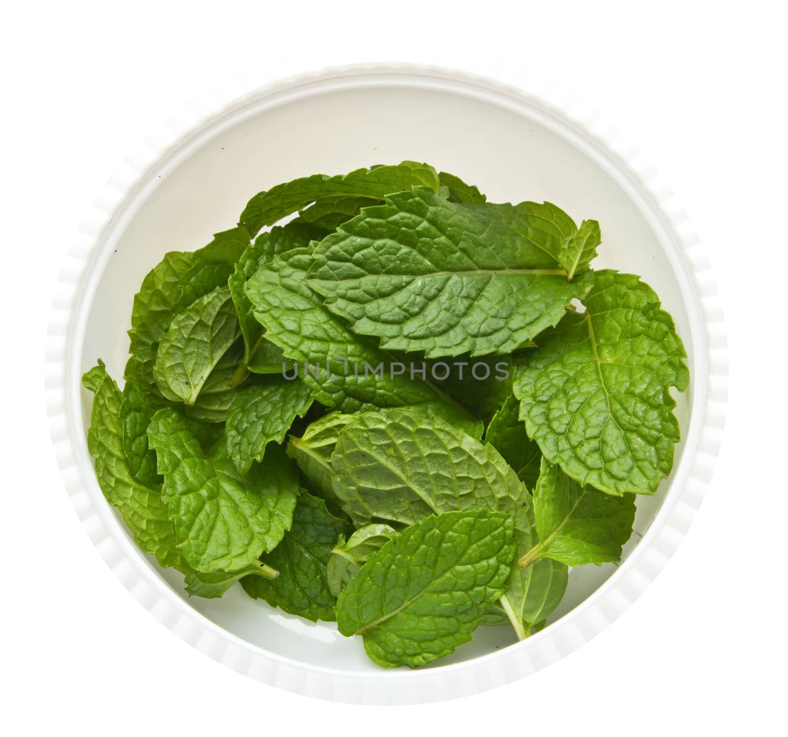 fresh mint leaves in cup isolated on white background. by kurapy