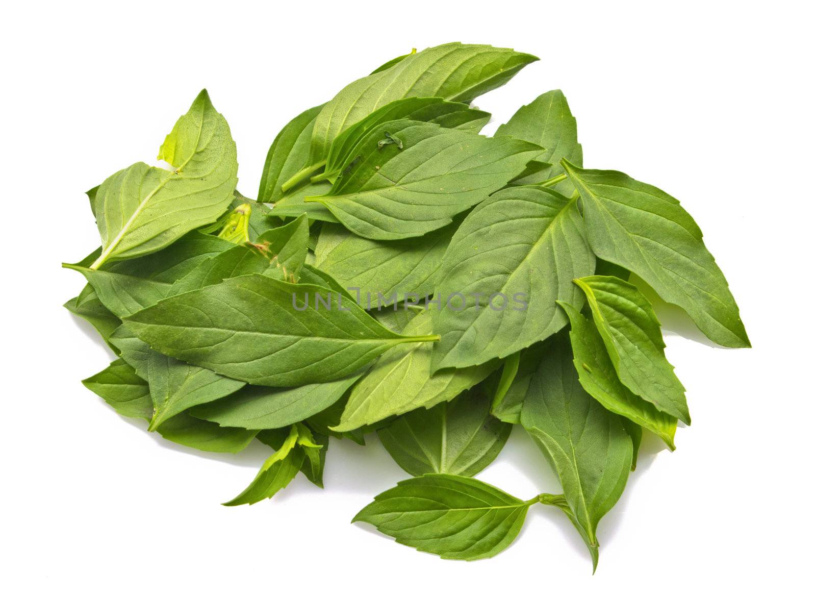 Fresh basil leaves on a white background by kurapy