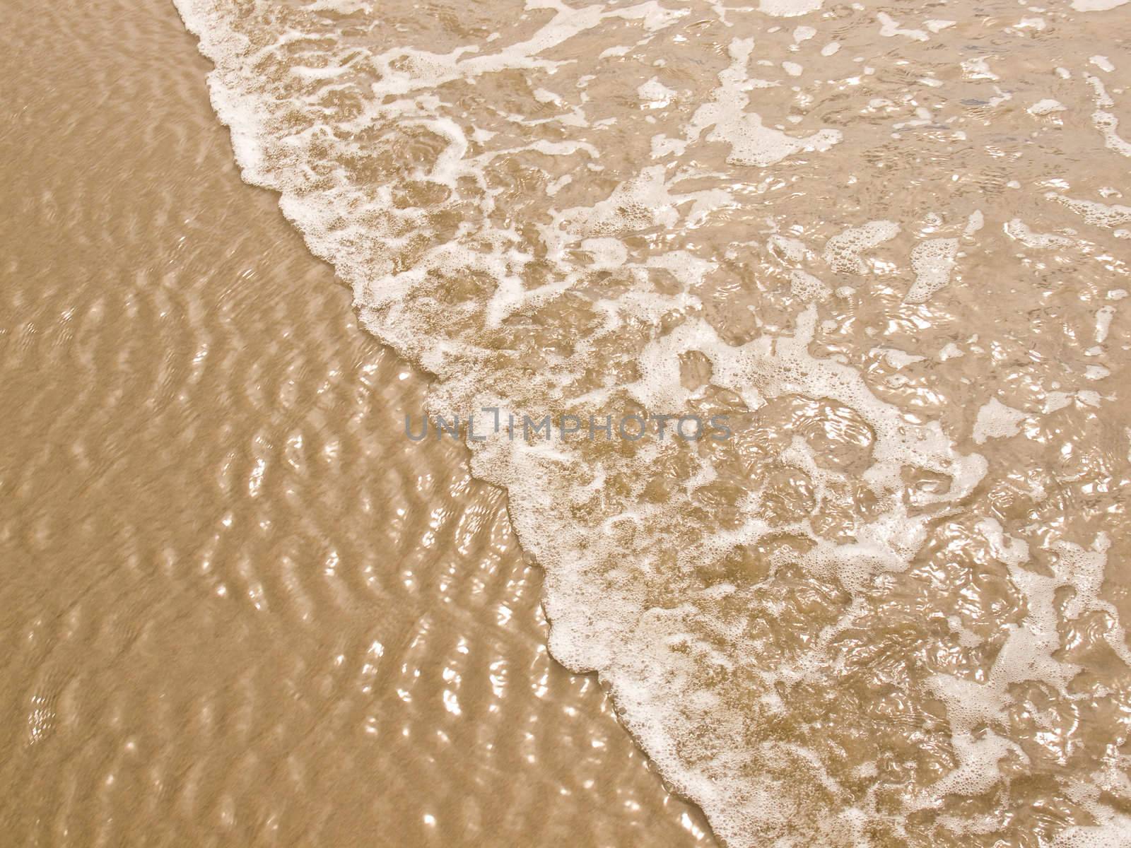 Foamy Ocean Shoreline at a Sunny Beach 