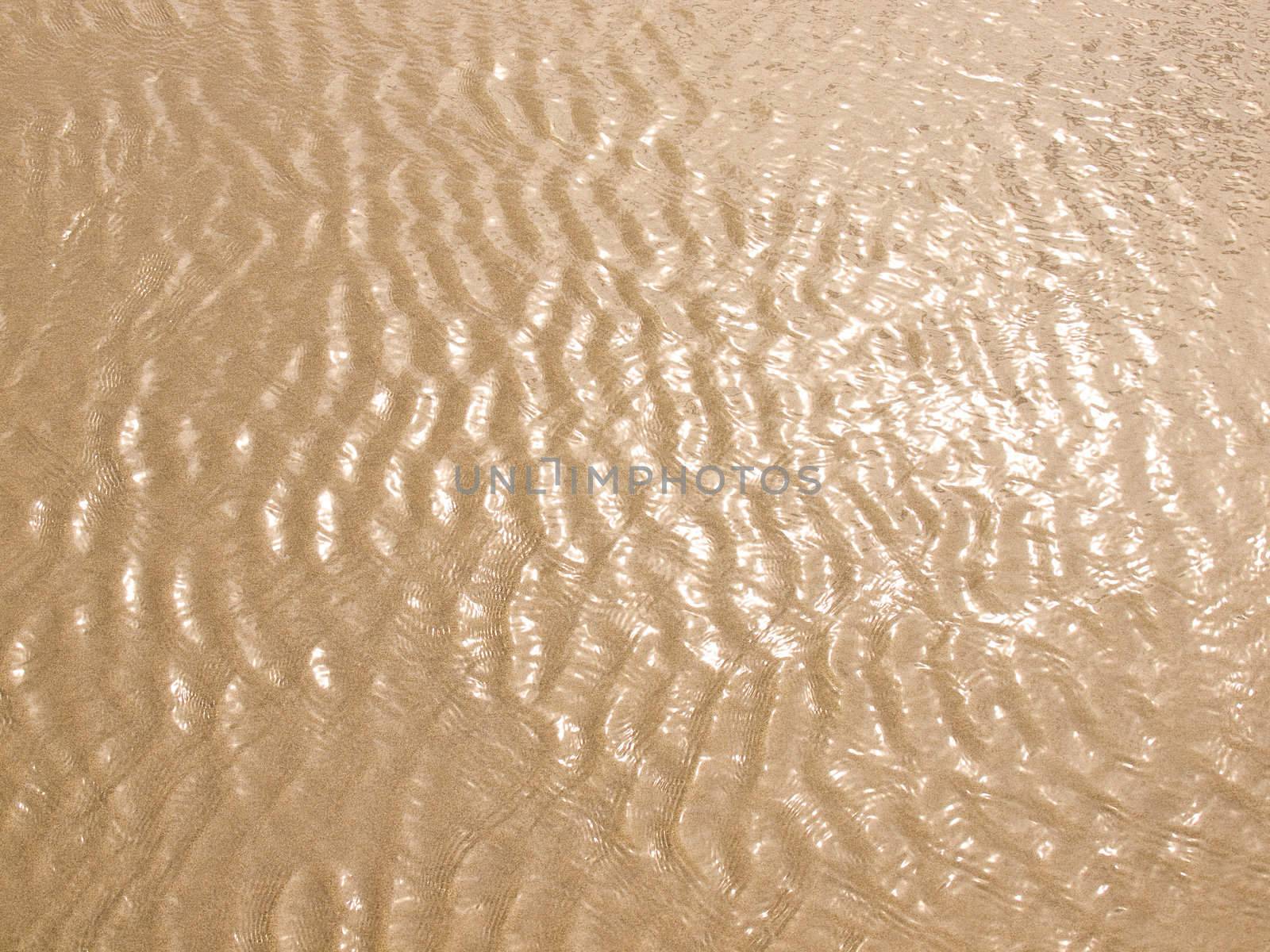 Foamy Ocean Shoreline at a Sunny Beach 